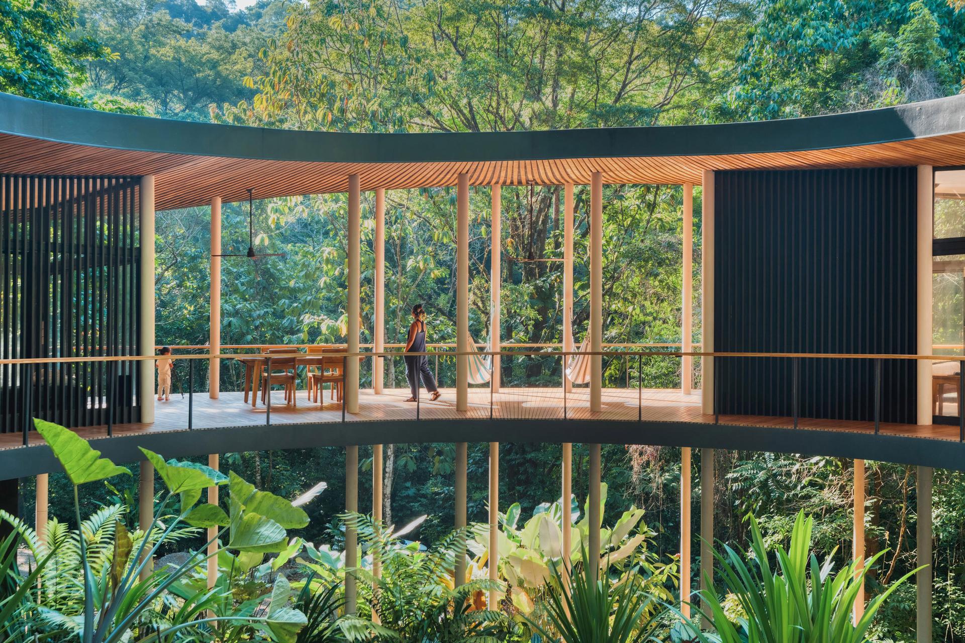Sinfonía Verde - image 8