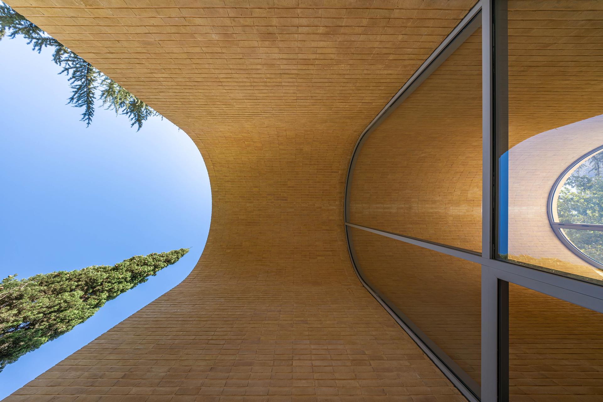 A House Looking to a Cedrus Tree - image 2