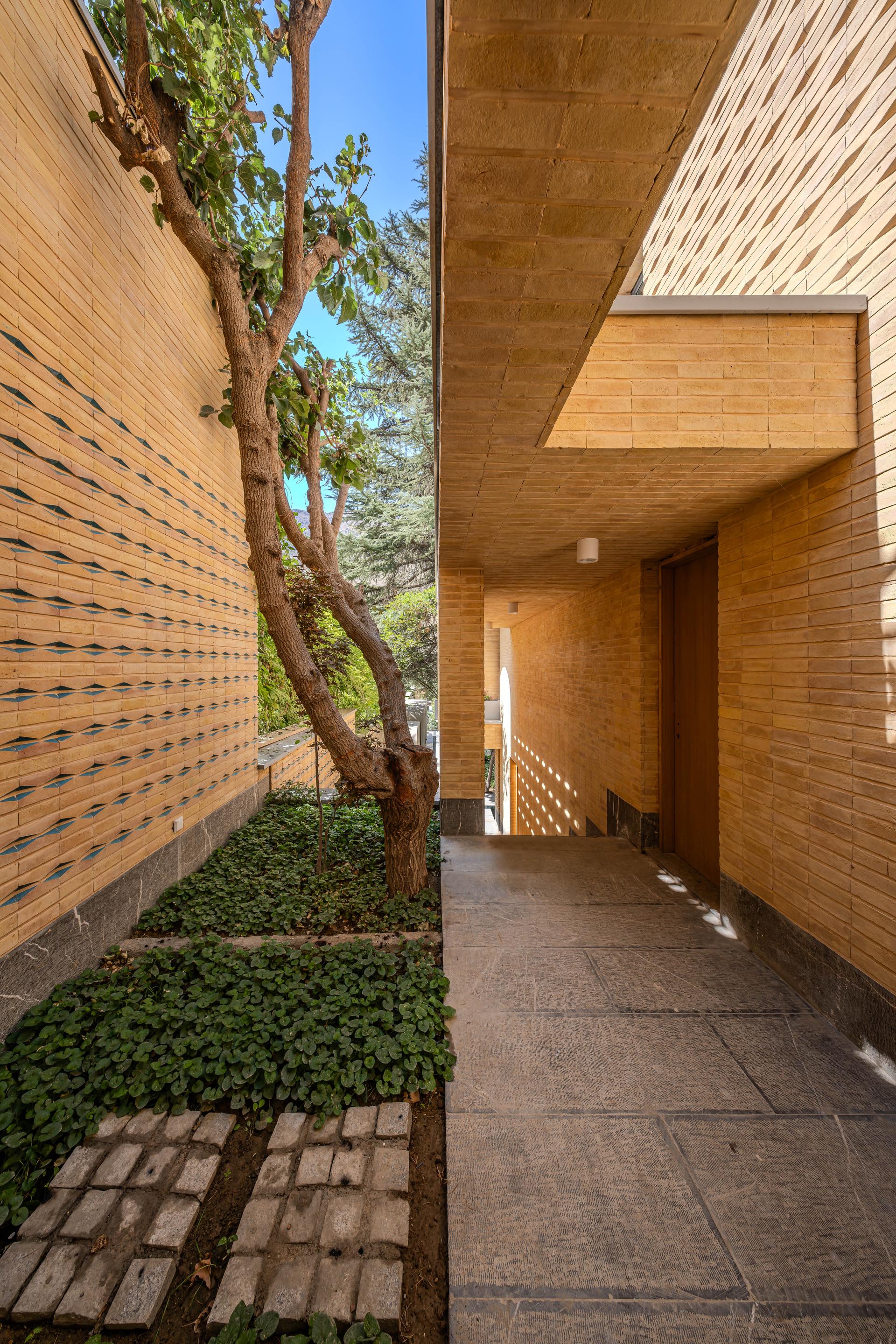 A House Looking to a Cedrus Tree - image 7