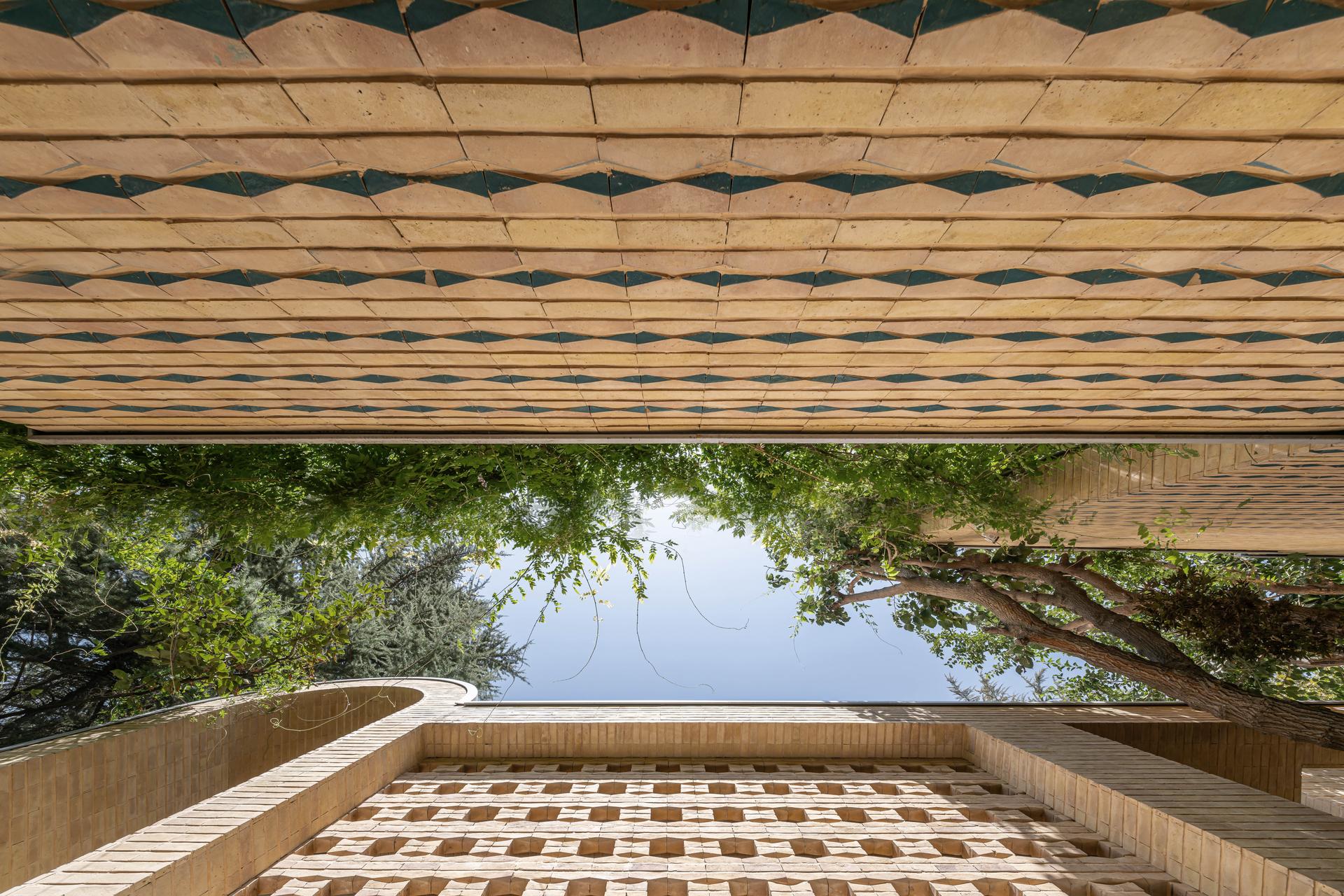 A House Looking to a Cedrus Tree - image 9