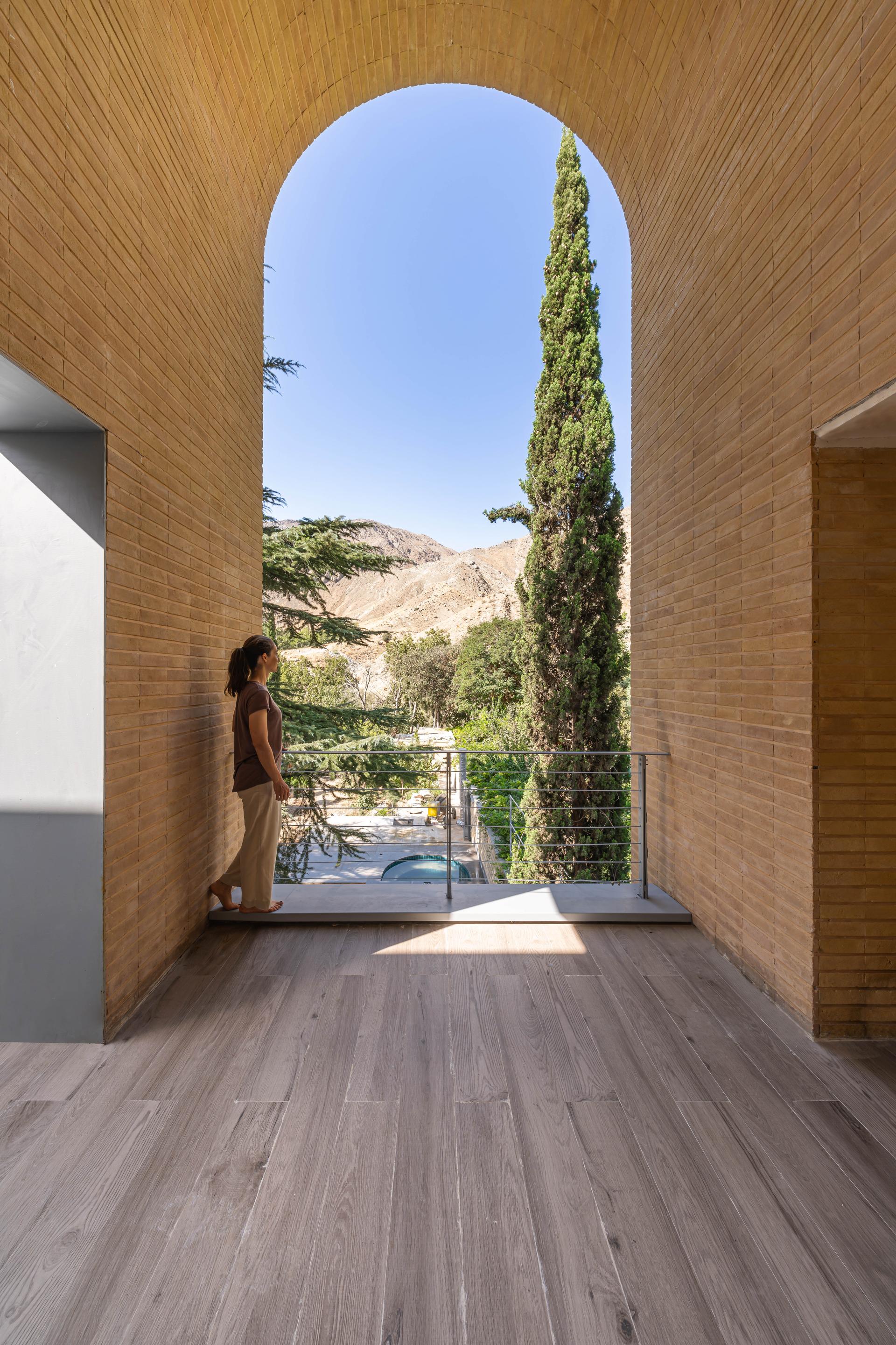 A House Looking to a Cedrus Tree - image 4