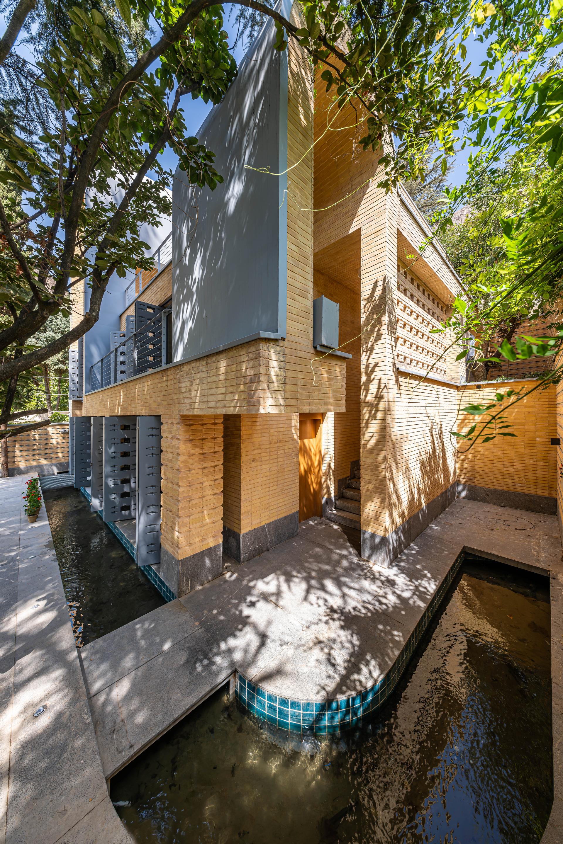 A House Looking to a Cedrus Tree - image 35
