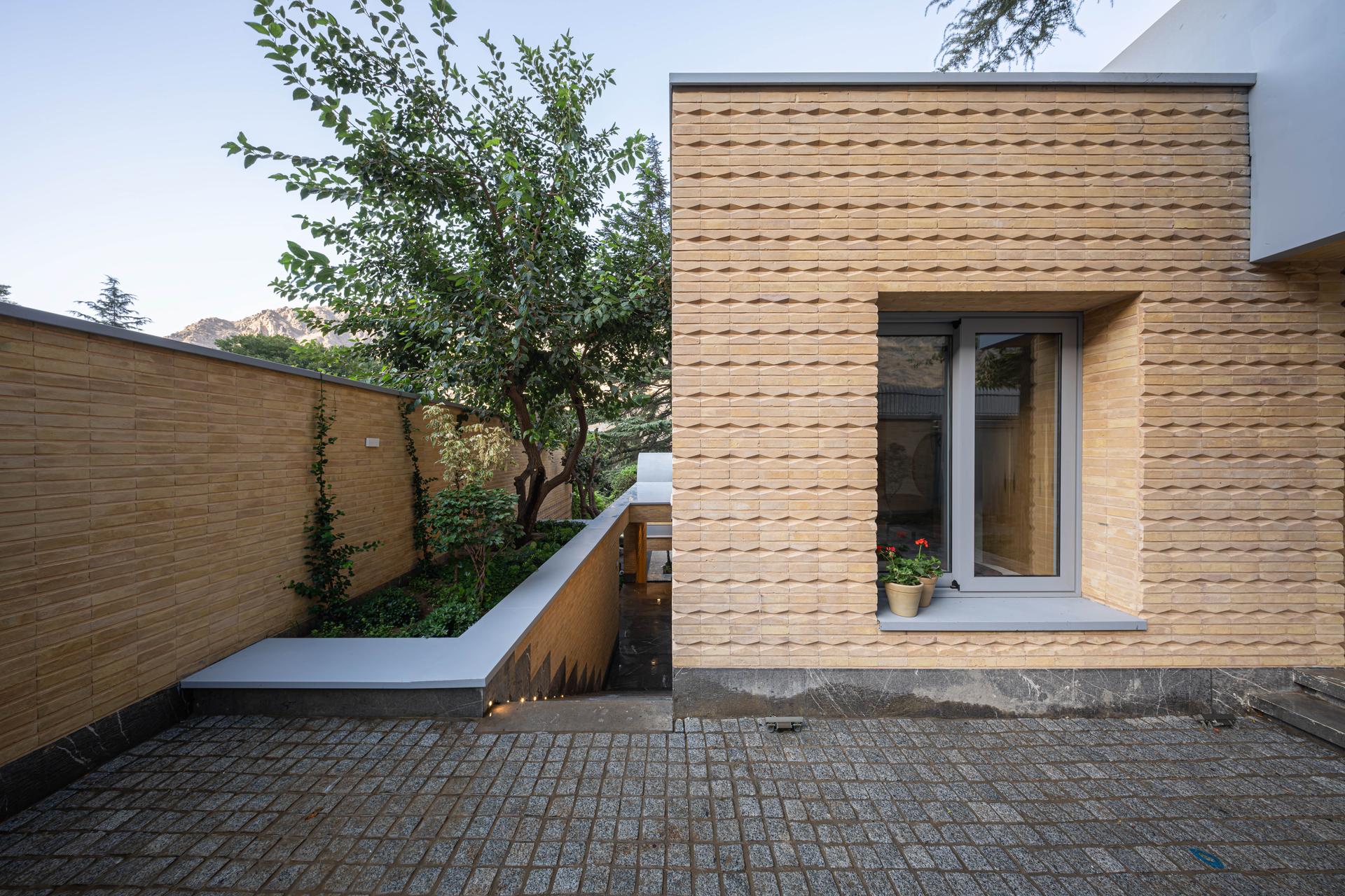 A House Looking to a Cedrus Tree - image 24