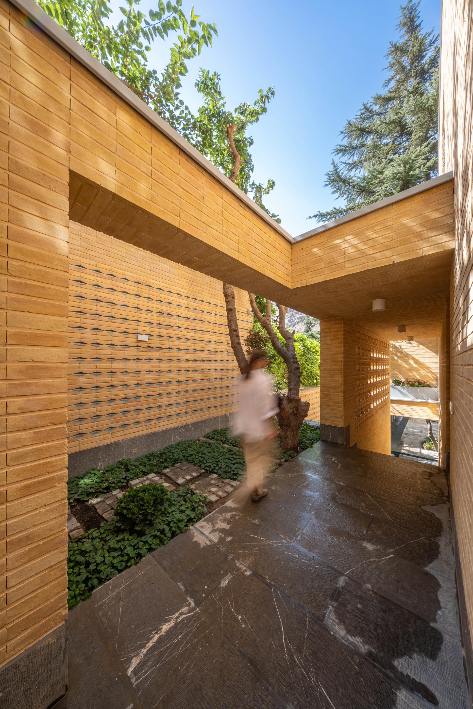 A House Looking to a Cedrus Tree - image 8