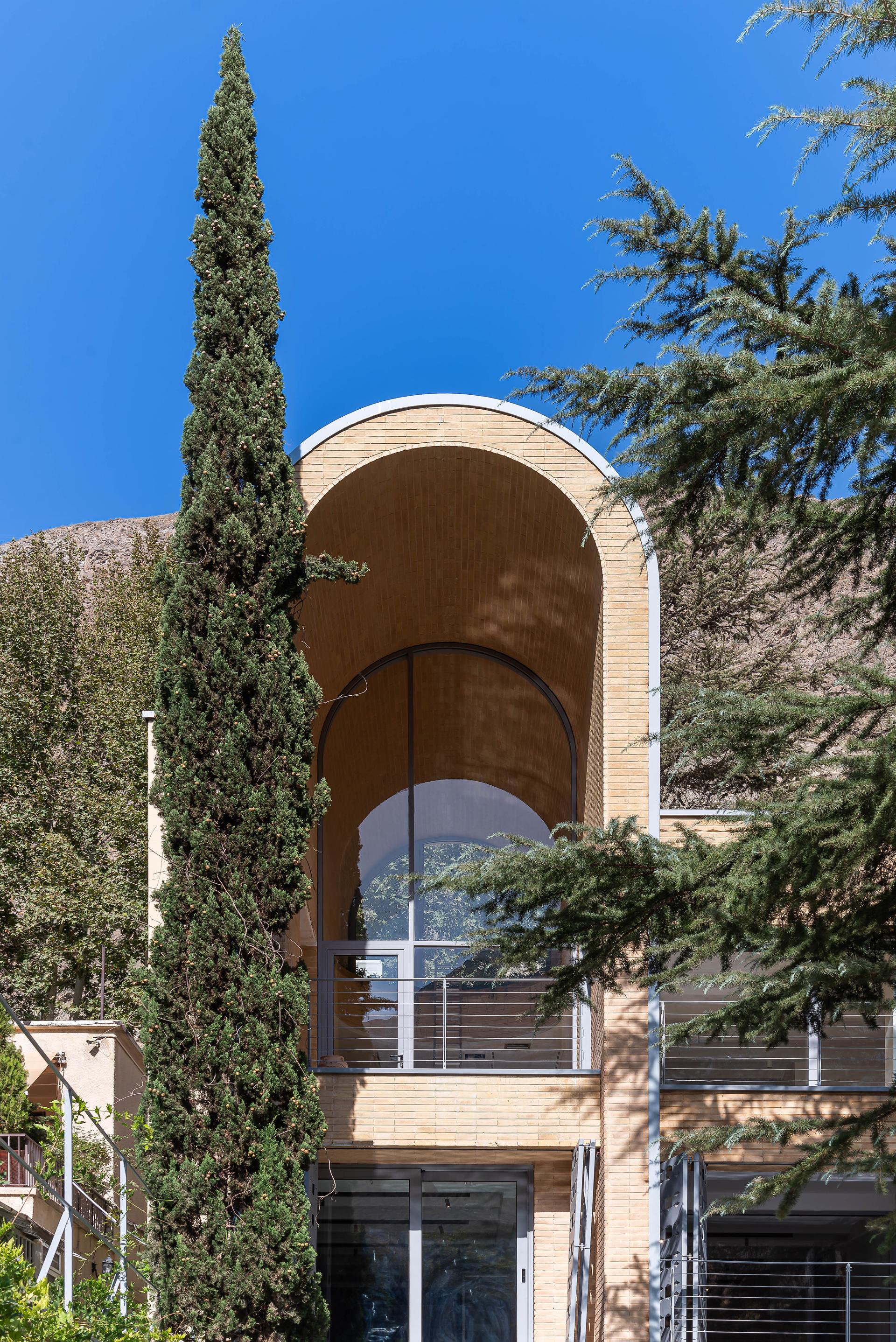 A House Looking to a Cedrus Tree - image 38