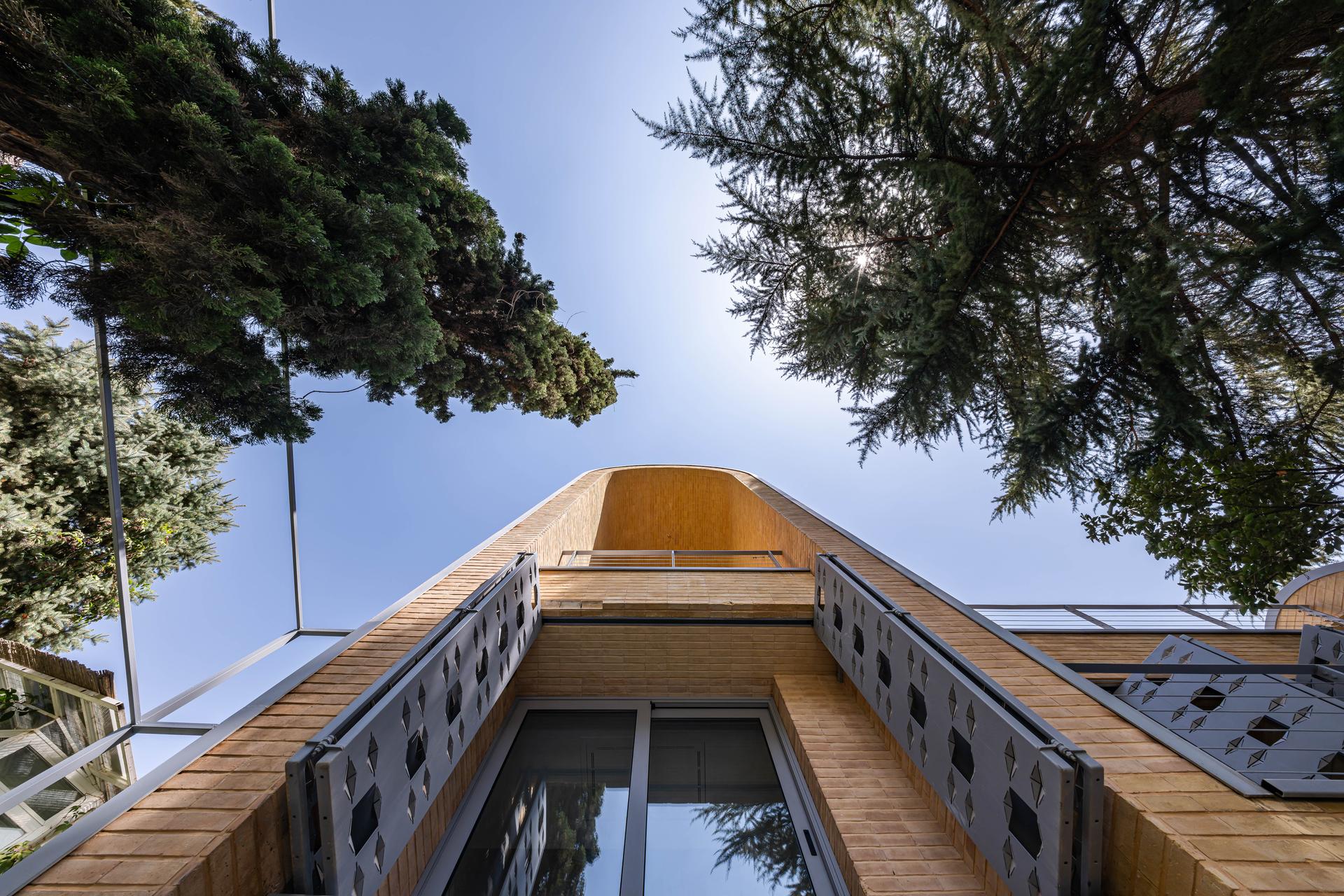 A House Looking to a Cedrus Tree - image 43
