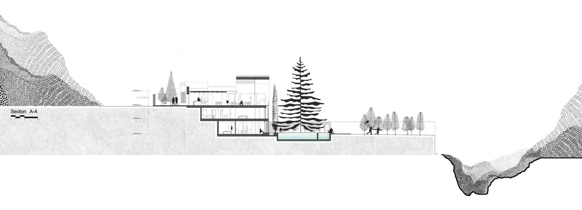A House Looking to a Cedrus Tree - image 51