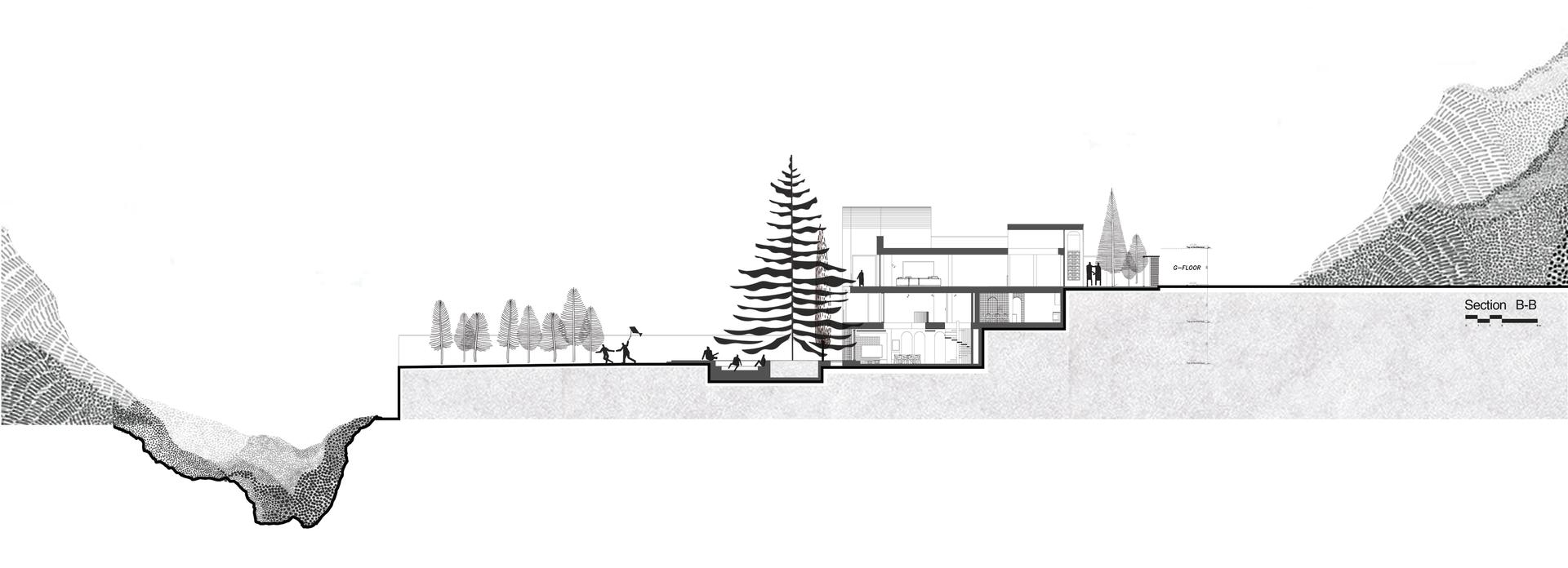 A House Looking to a Cedrus Tree - image 50