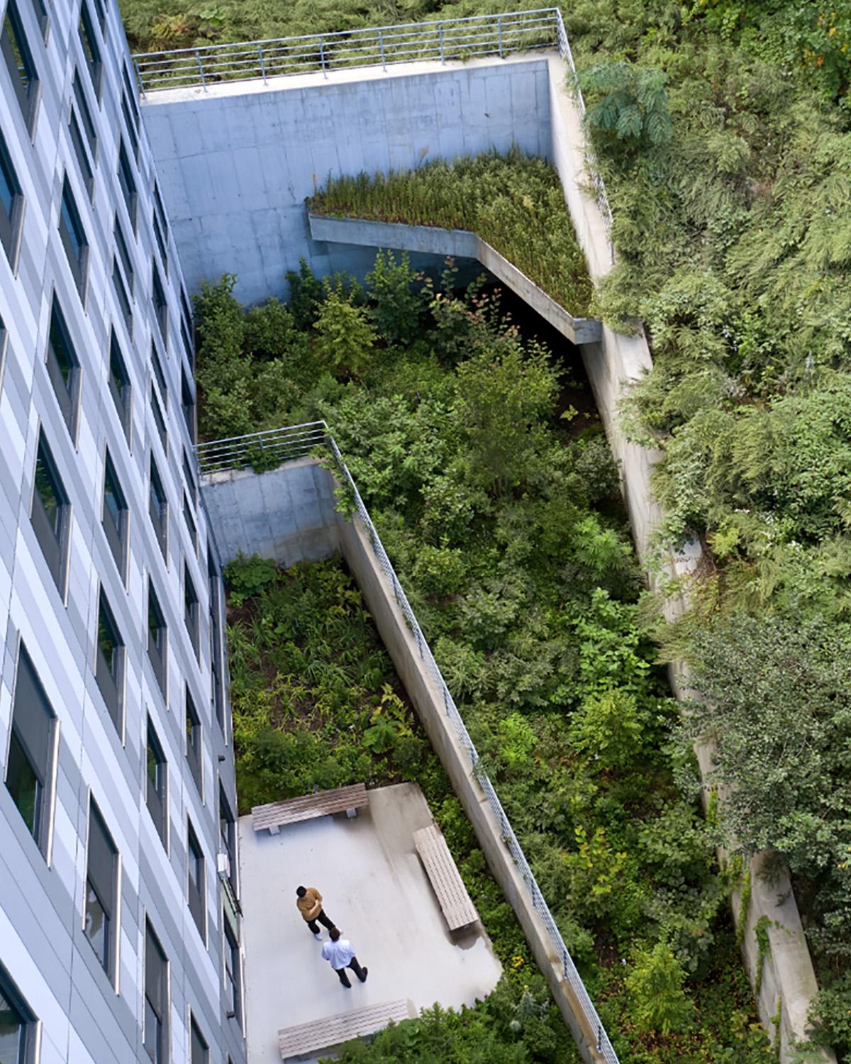The Hillside Senior Affordable Passive House Community - image 9
