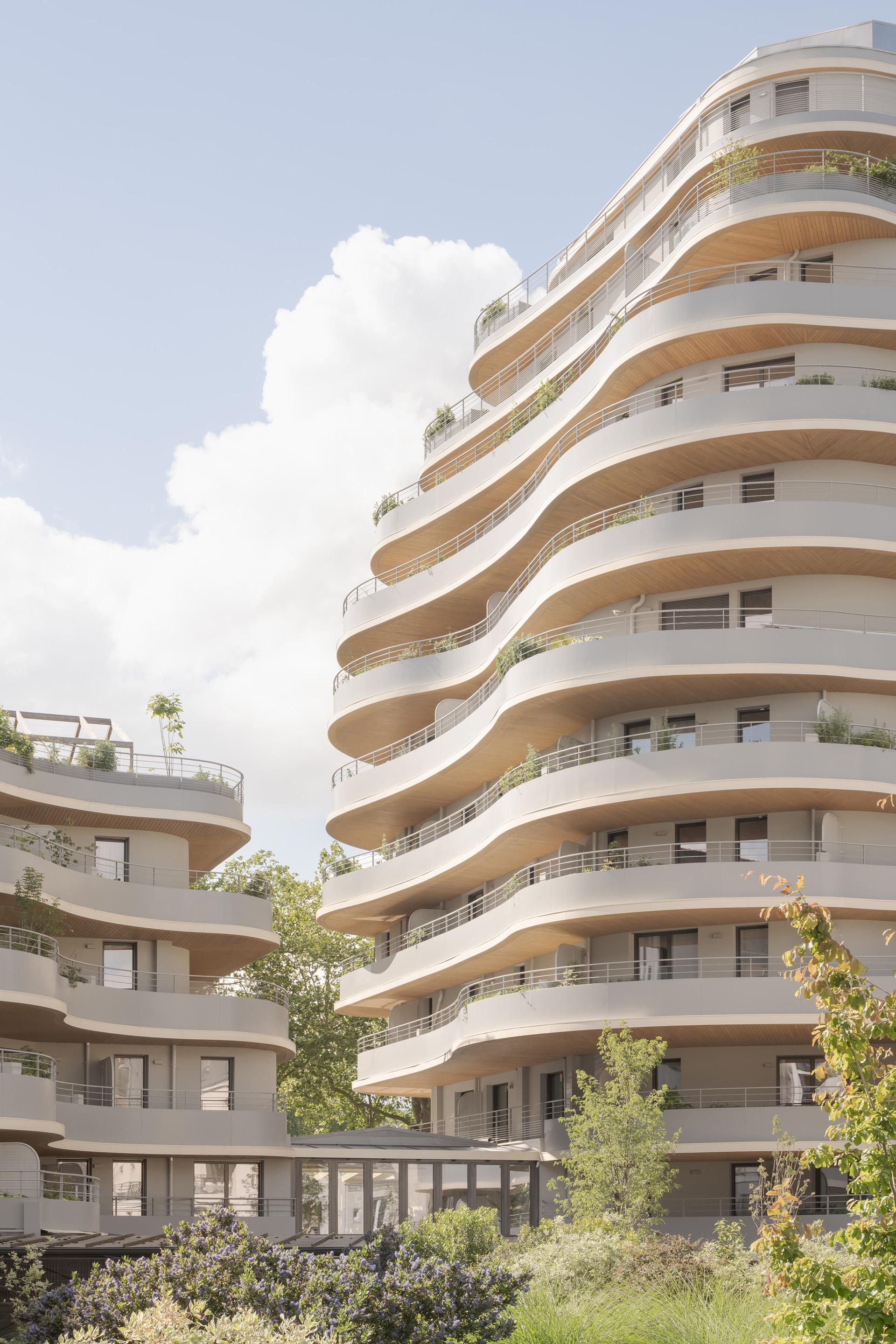 ARBORESCENCE - image 2