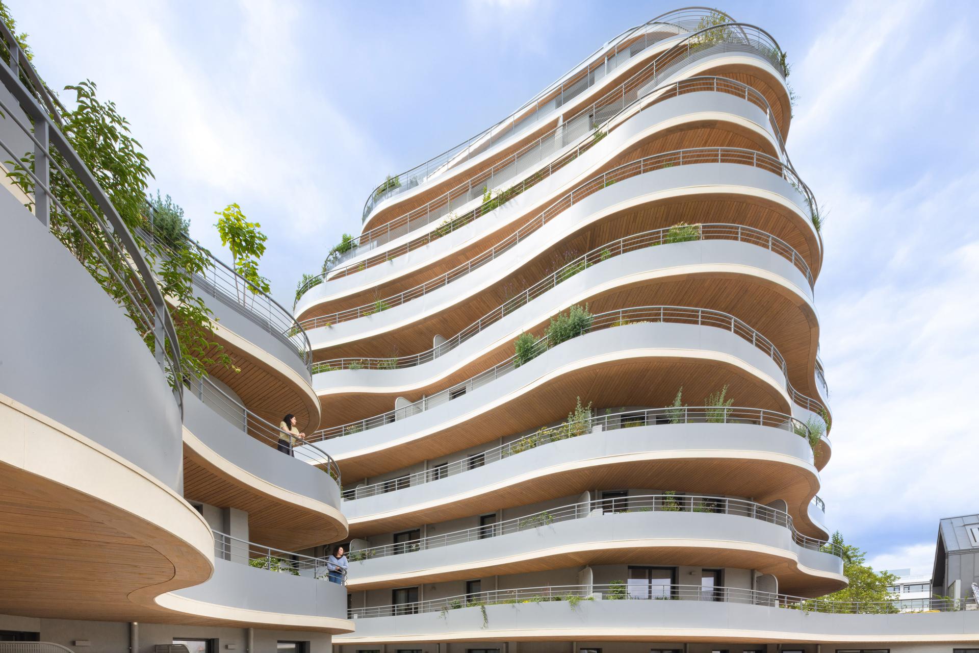 ARBORESCENCE - image 4