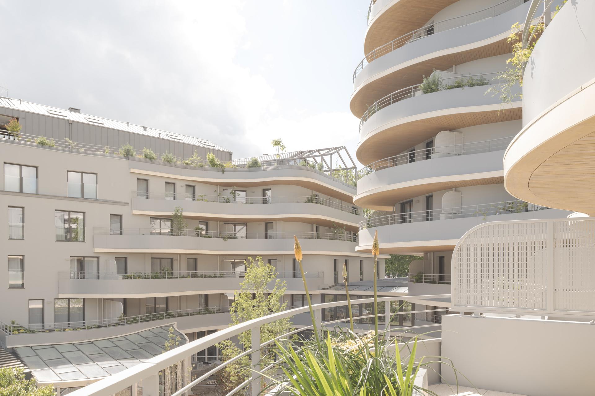 ARBORESCENCE - image 22