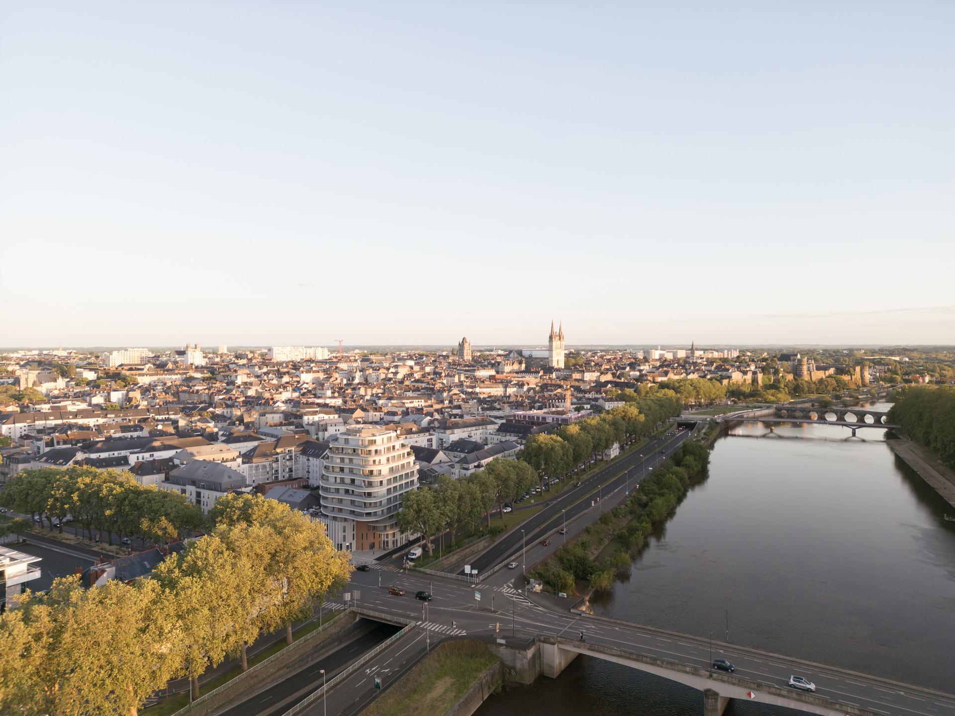 ARBORESCENCE - image 32