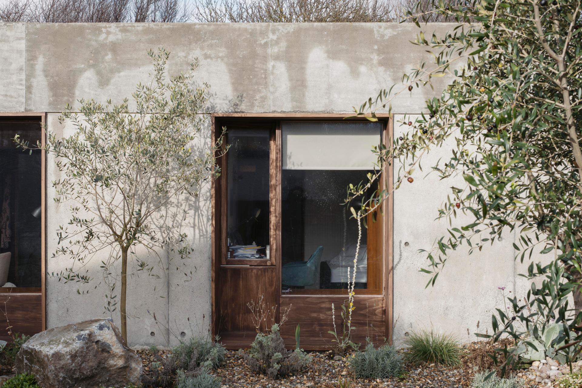 FOUR WINDS - image 11