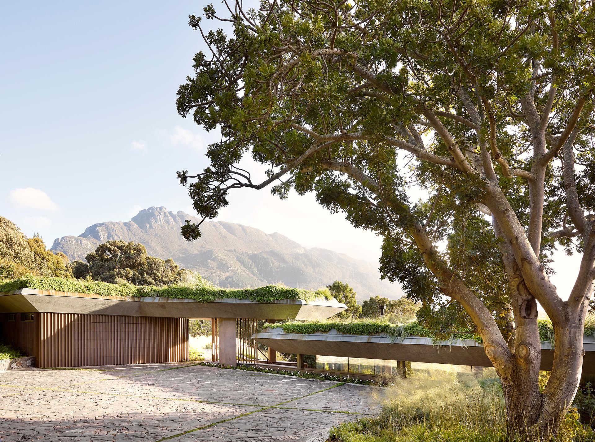 Planted Pavilion - image 2
