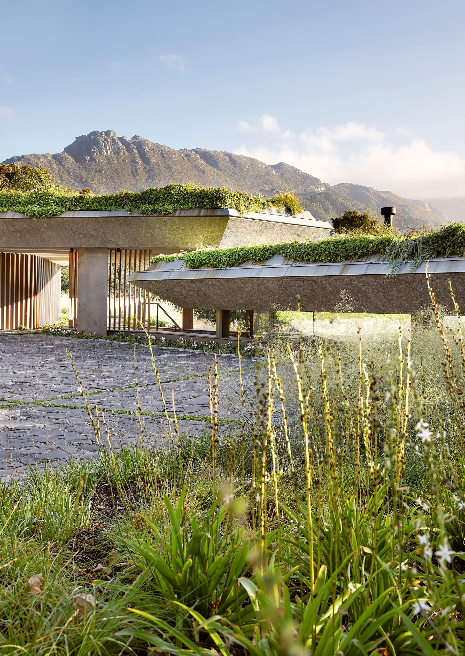 Planted Pavilion - image 3