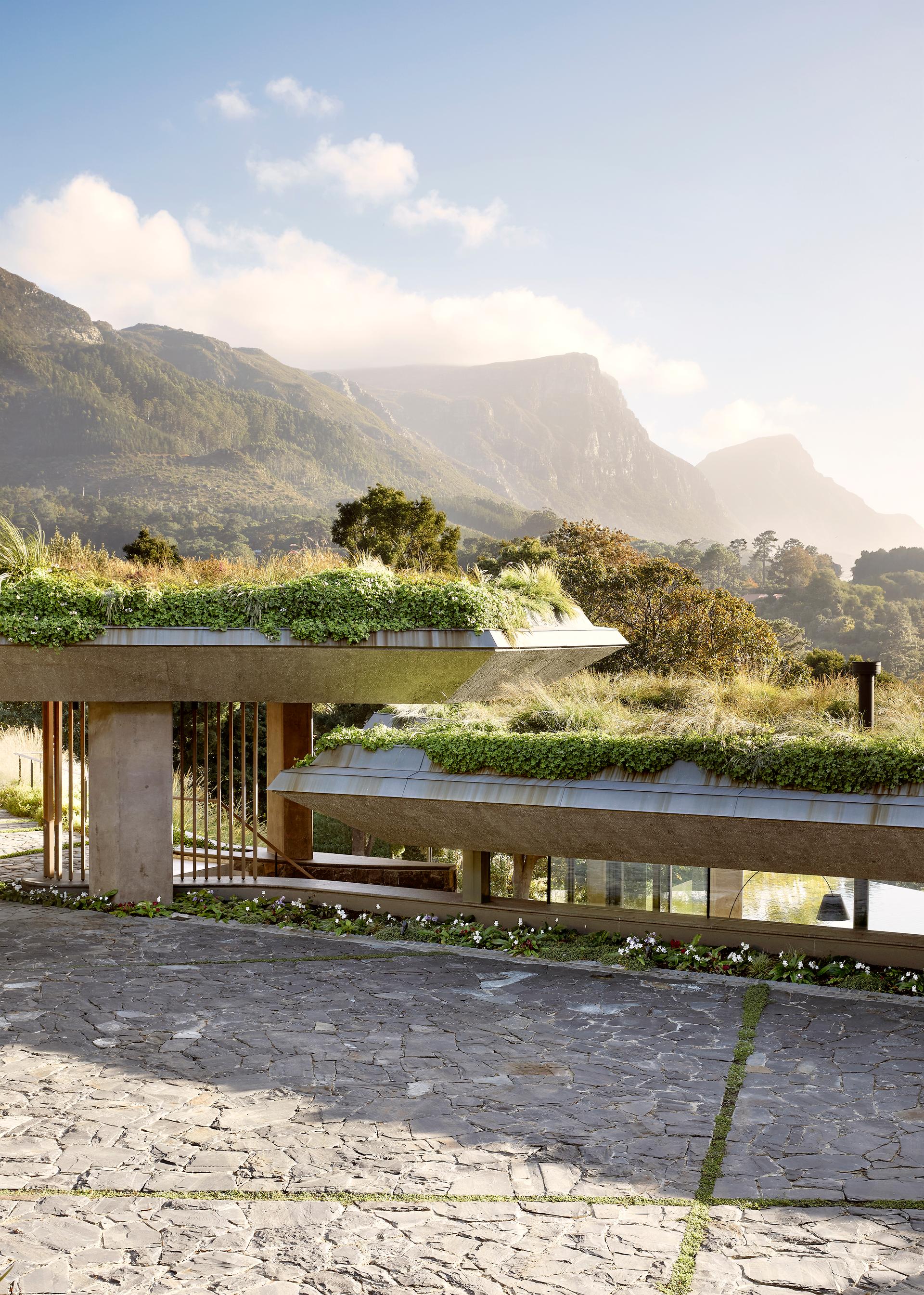 Planted Pavilion - image 4