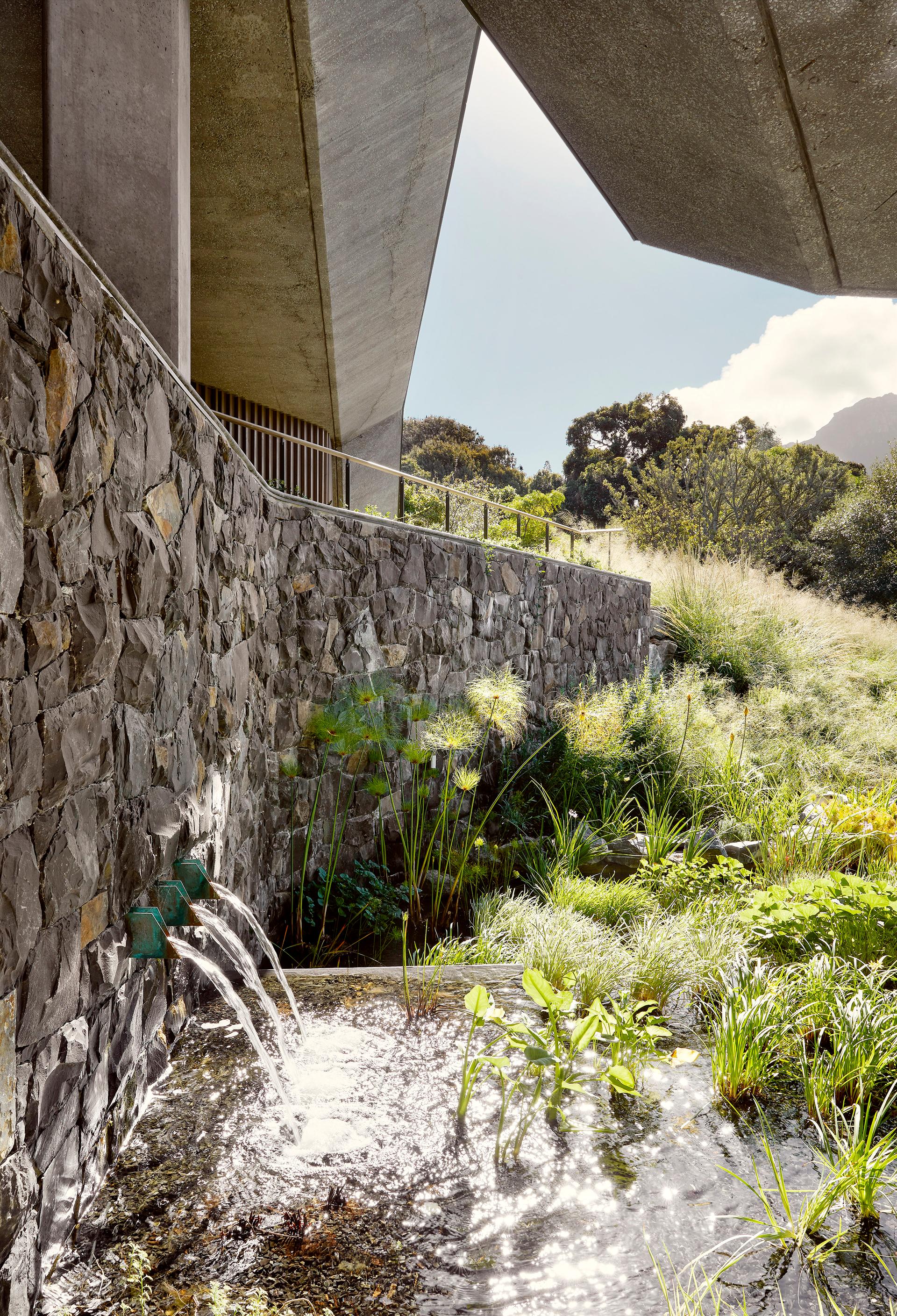 Planted Pavilion - image 5
