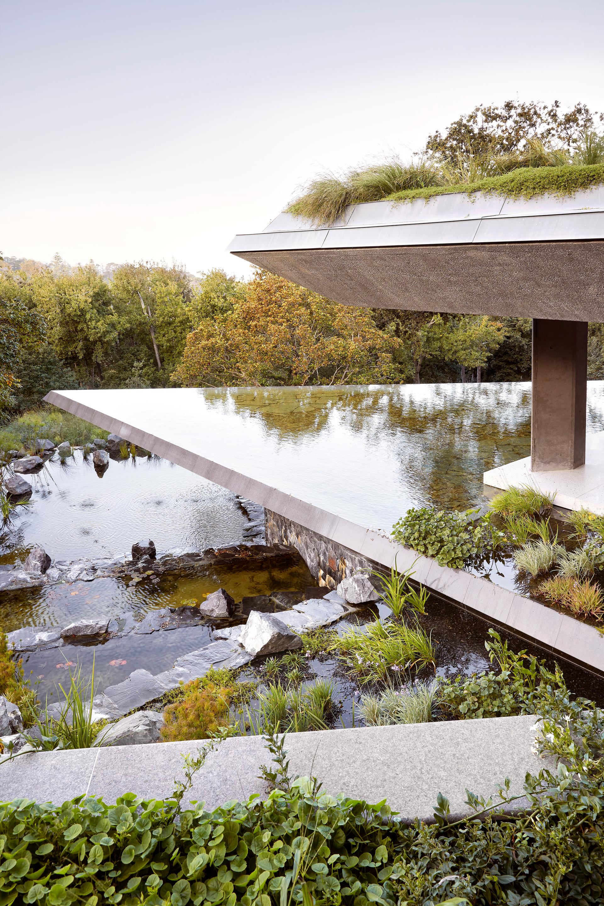 Planted Pavilion - image 15