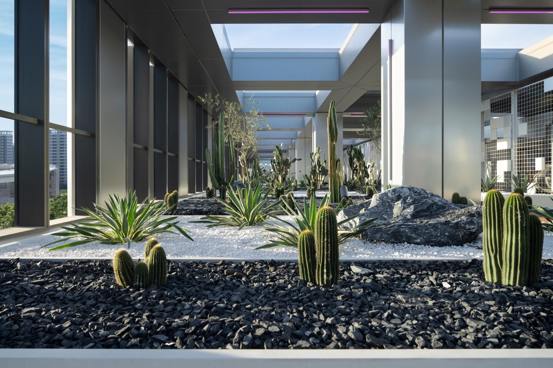 Shanghai WLA Artificial Intelligence Lab Gardens - image 17