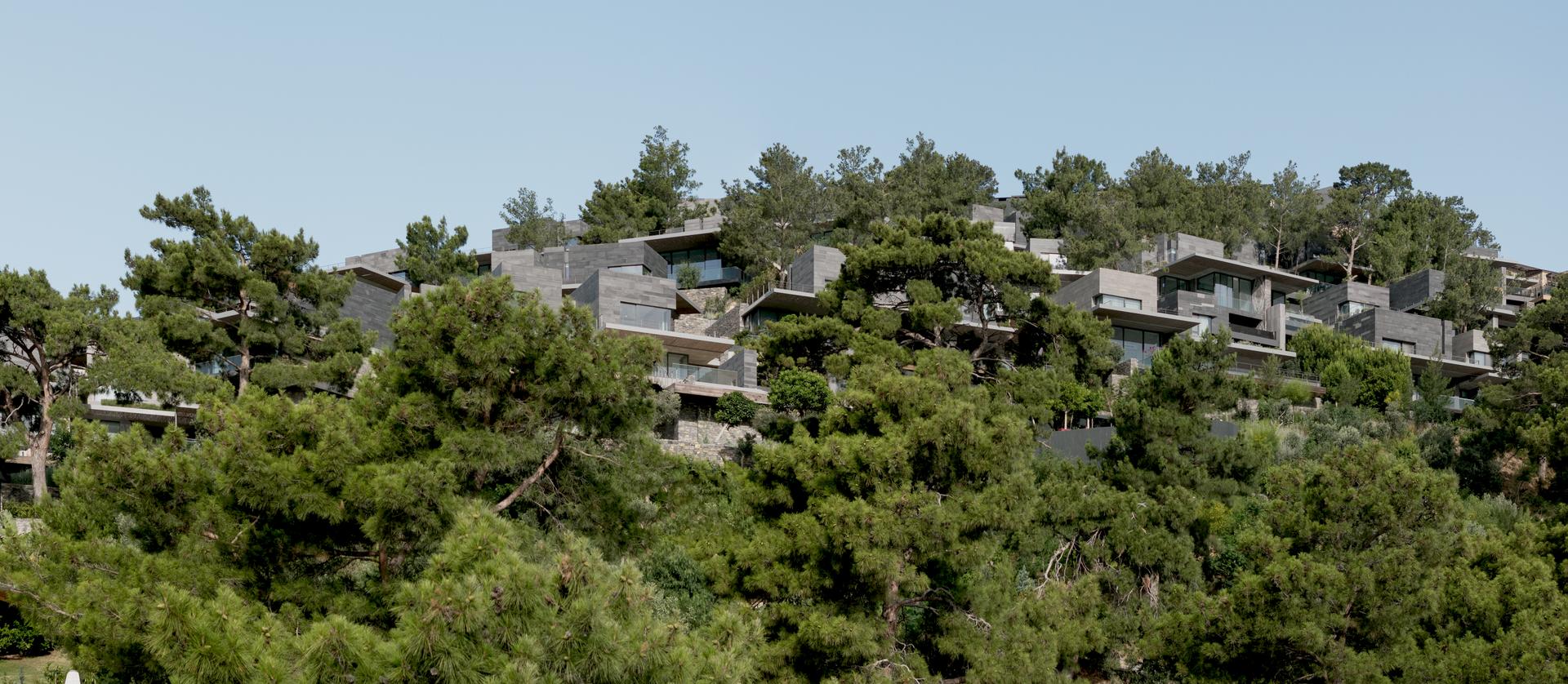 Nef Gölköy - image 3