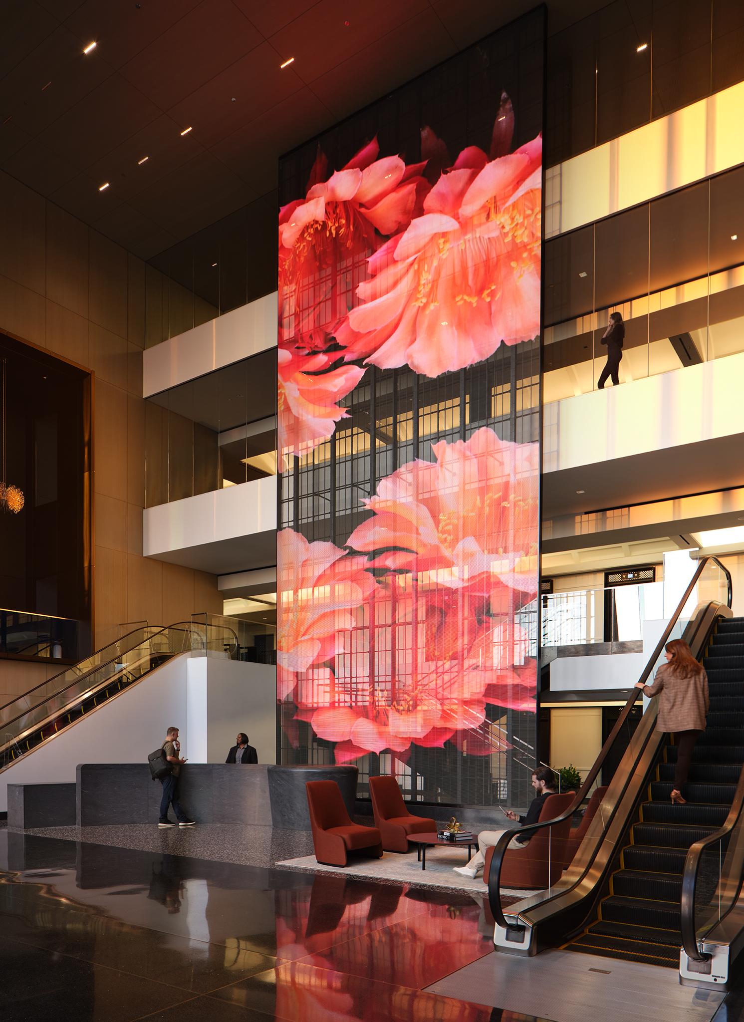 SCB - image 4