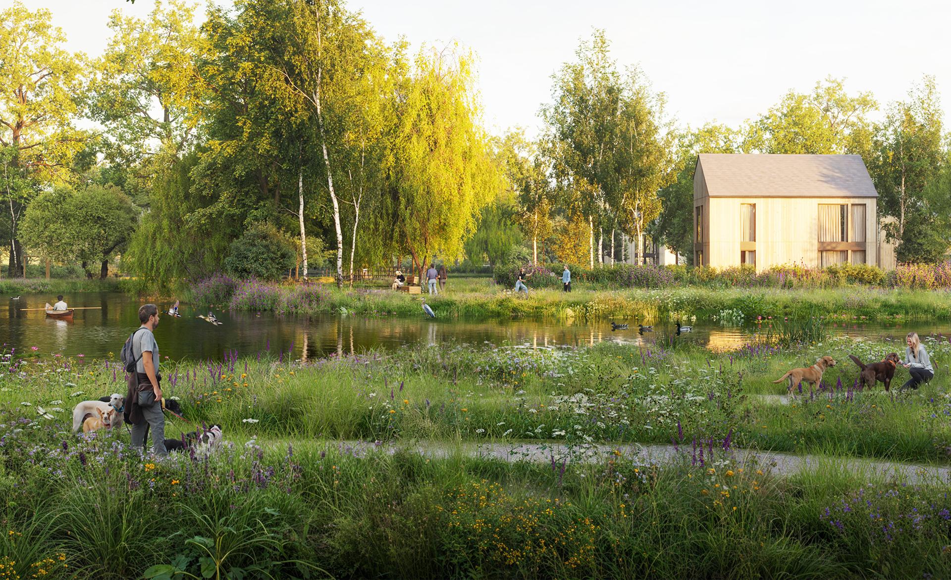 Geestwater Lisse - image 2