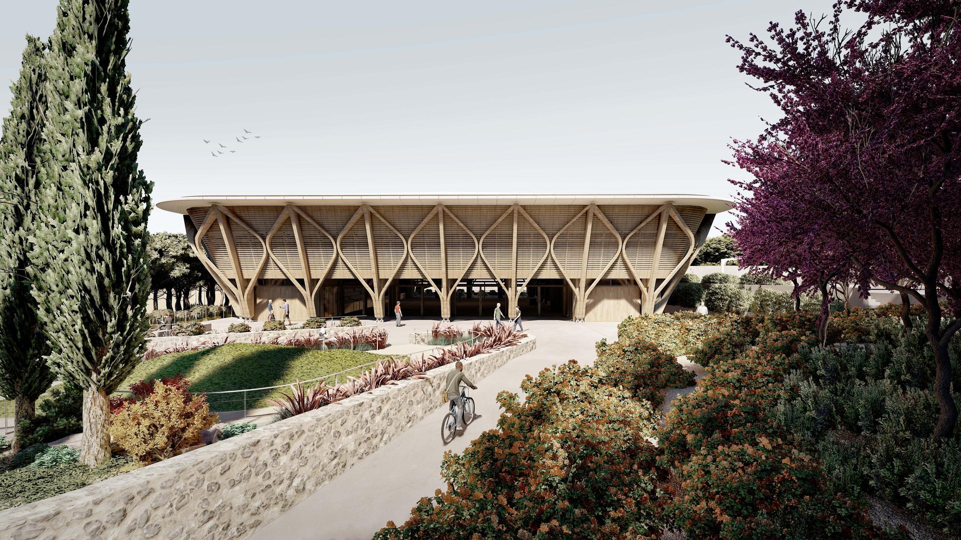 Kyathos I Mass Timber Arena - image 3