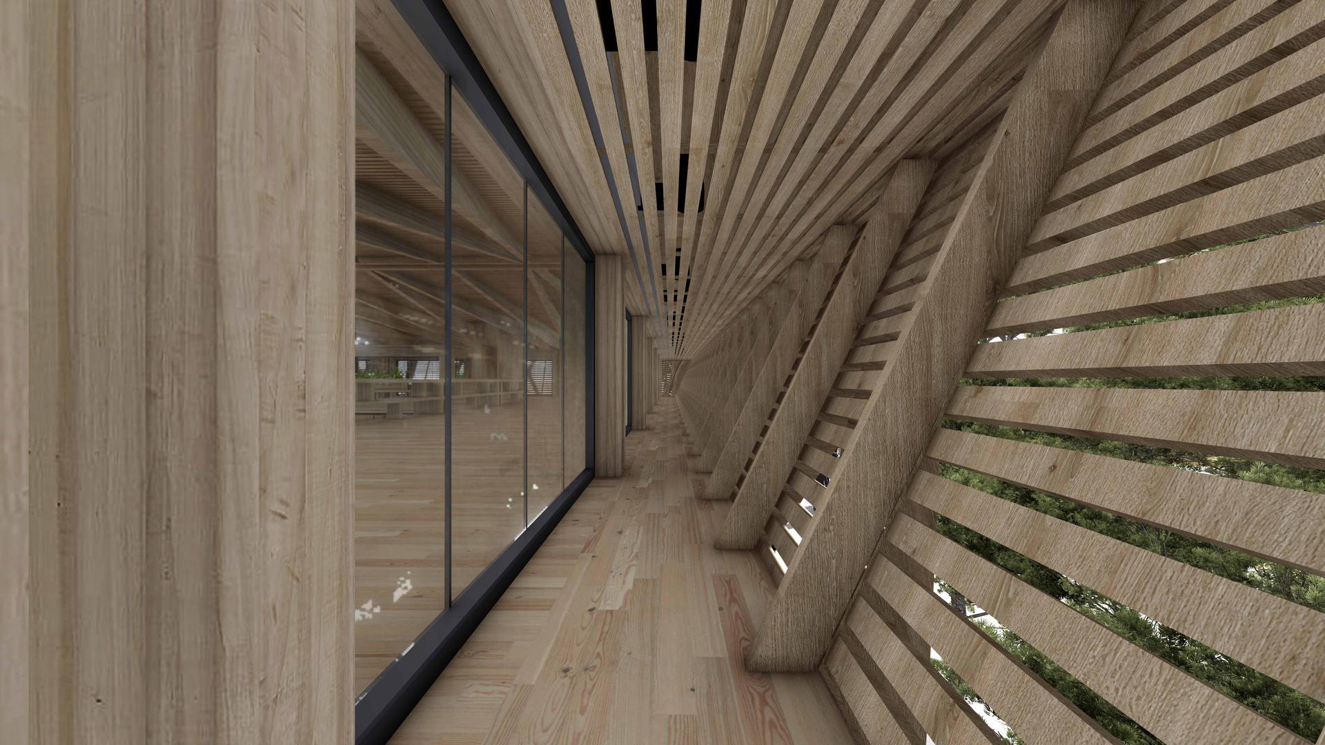 Kyathos I Mass Timber Arena - image 5
