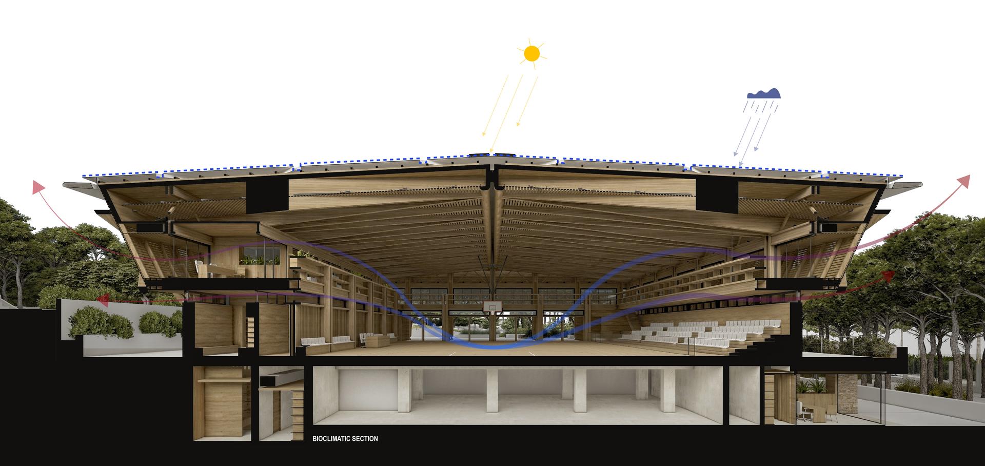 Kyathos I Mass Timber Arena - image 9
