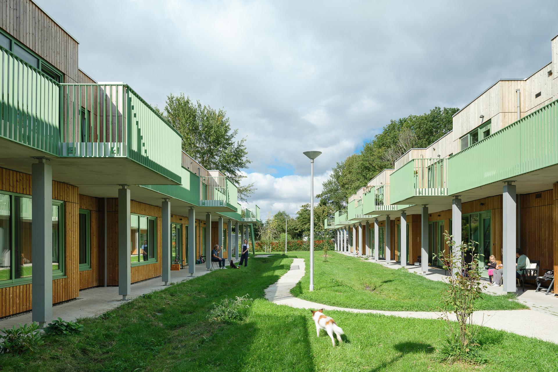 Moos Euterpe - image 5
