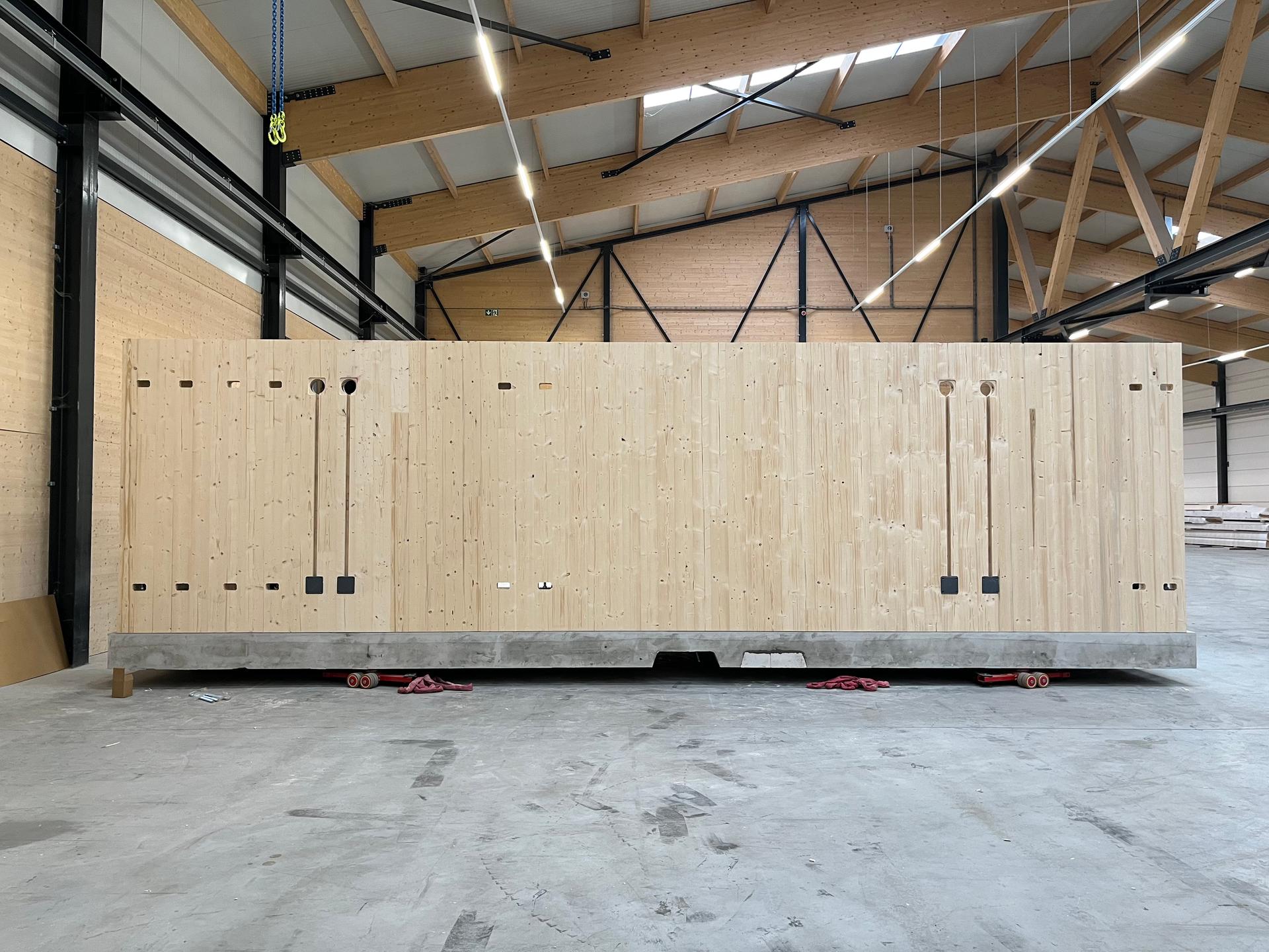 Moos Euterpe - image 20