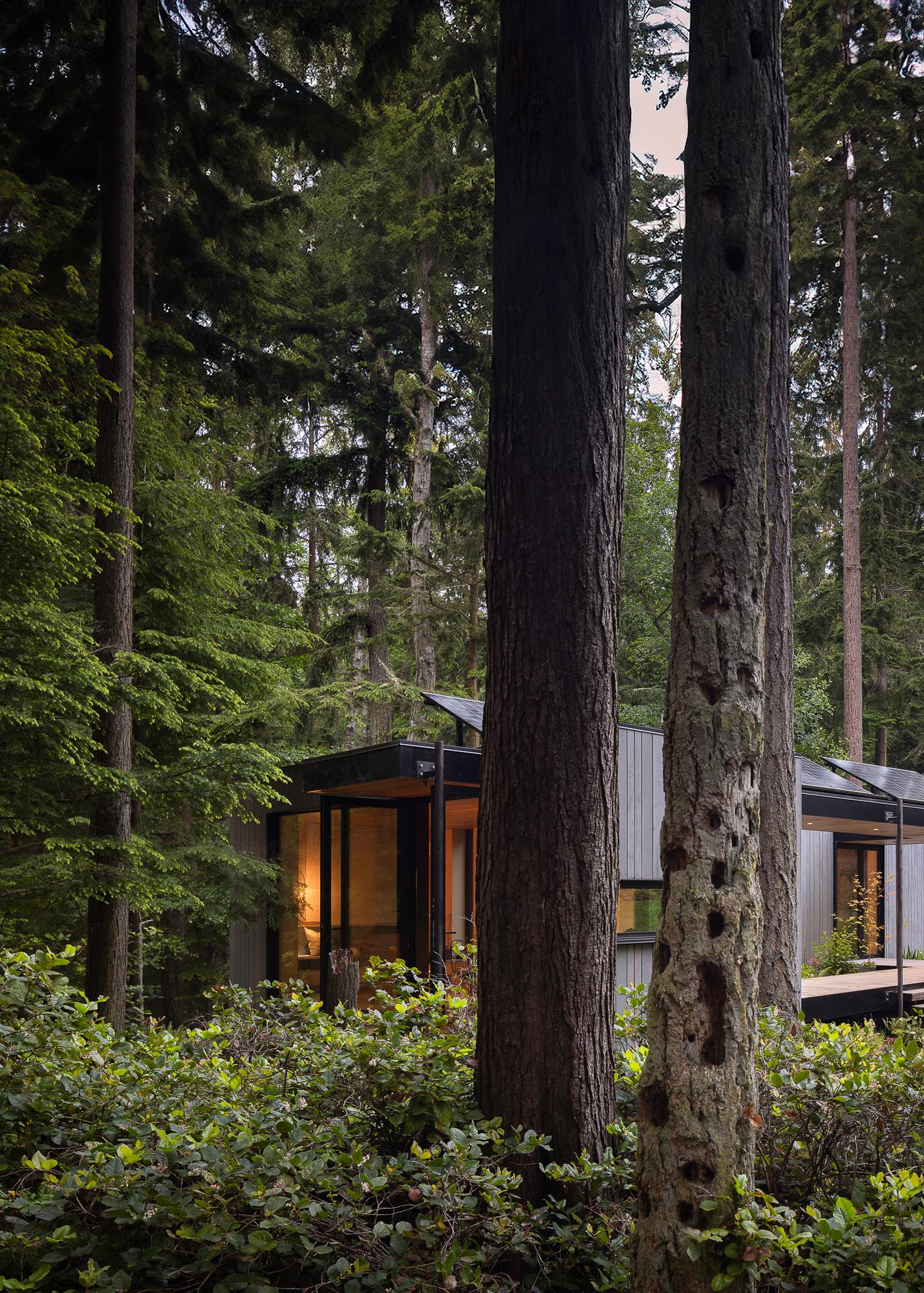 Whidbey Puzzle Prefab - image 23
