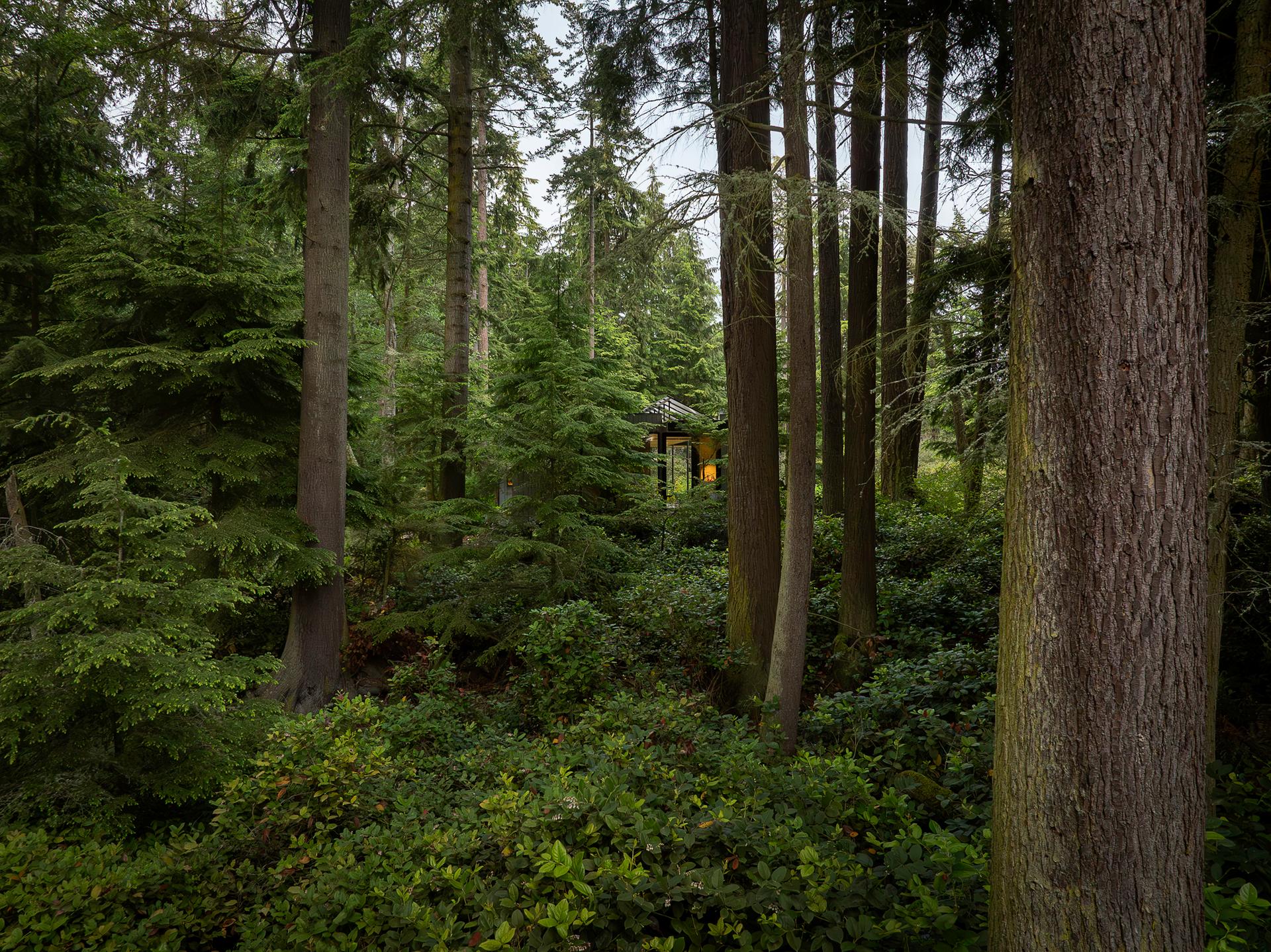 Whidbey Puzzle Prefab - image 26