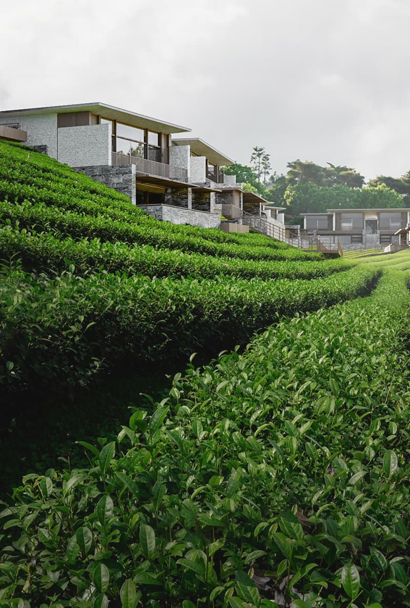 Kimpton Huangshan, line+ explores the spirit of Huizhou through a contemporary spatial narrative - image 37