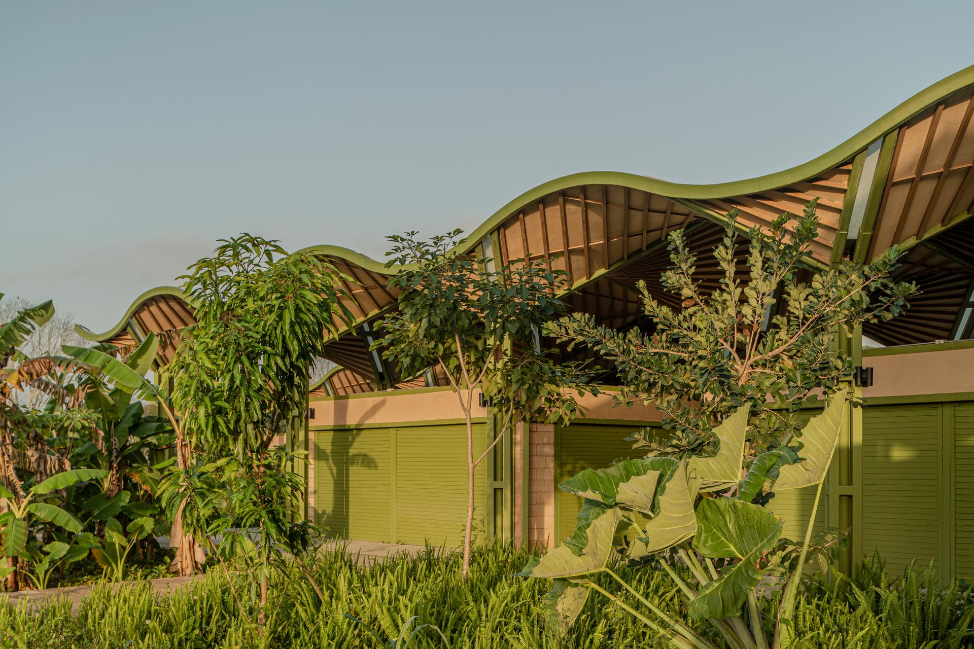 Mercado Nicolas Bravo - image 16