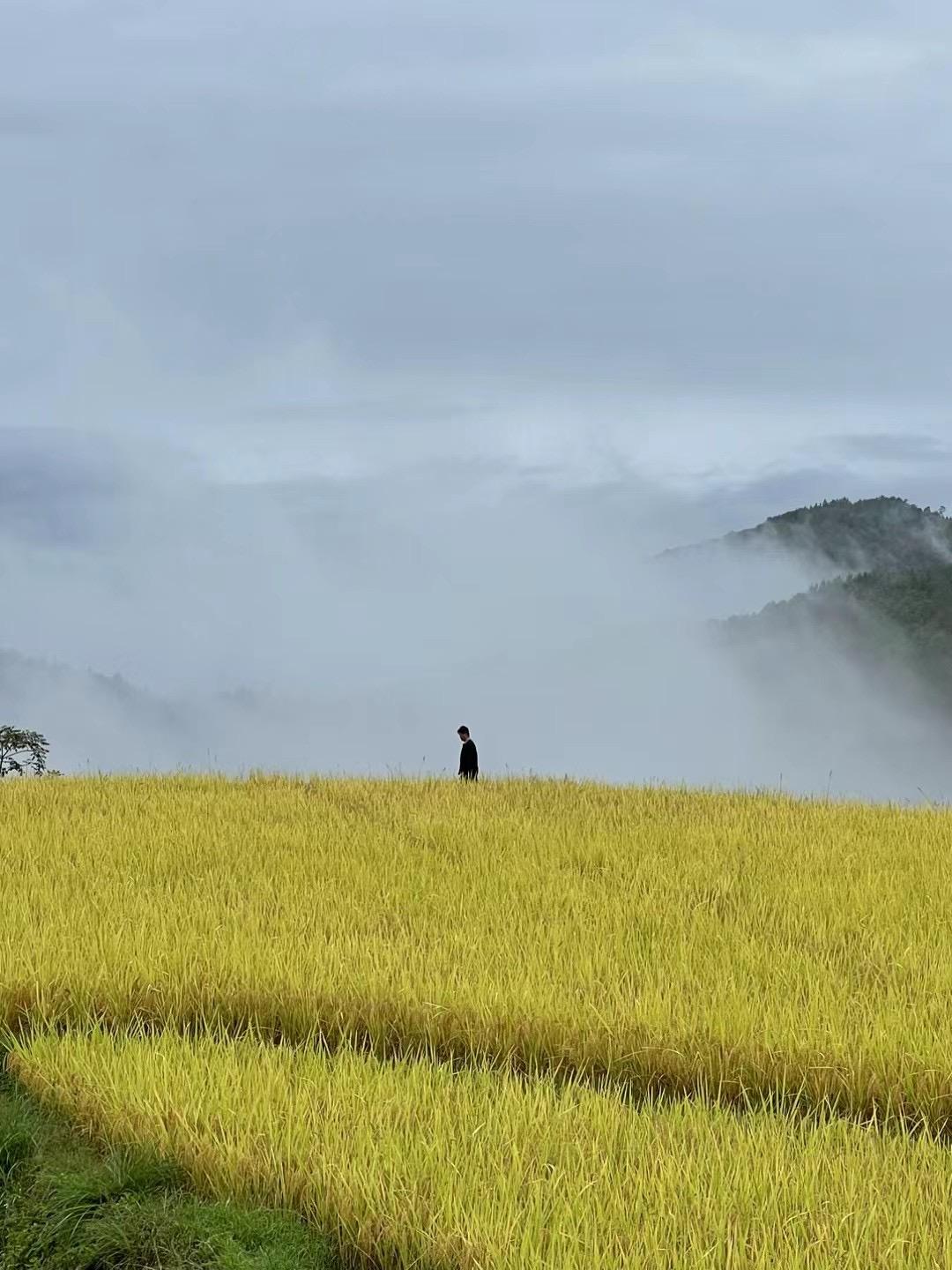 Dialogue with Nature—Commune STORE - image 30