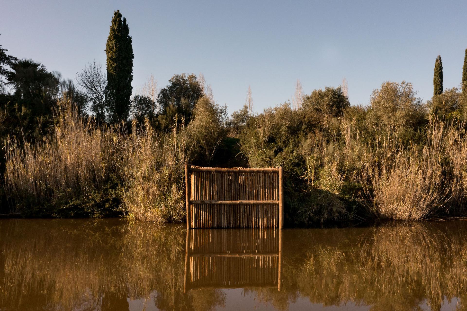 Diffuse Mirror - image 13