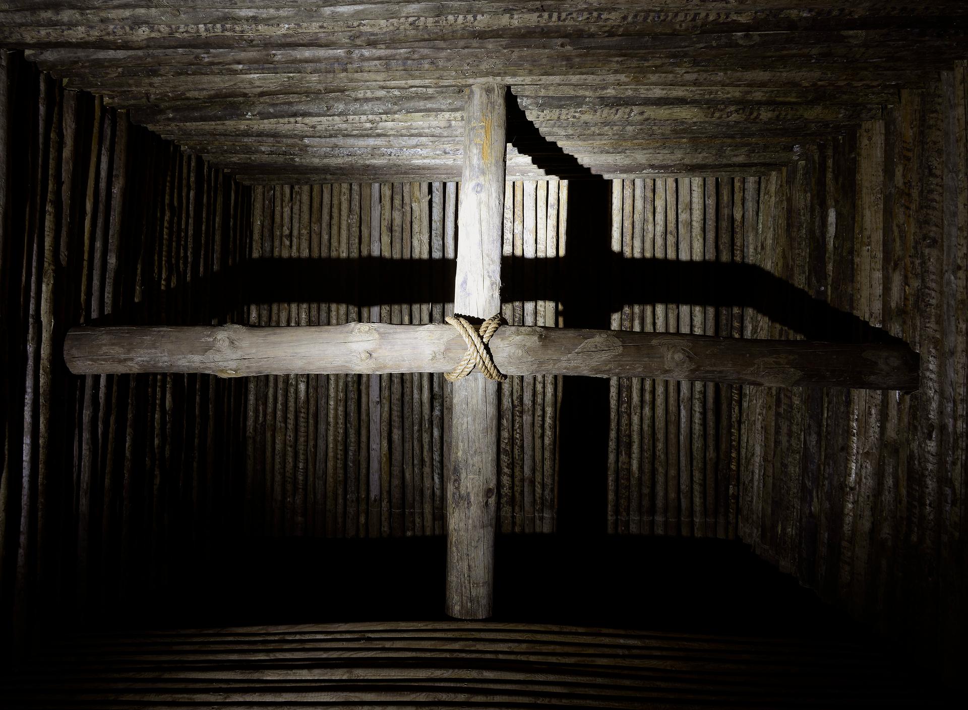 Diffuse Mirror - image 16