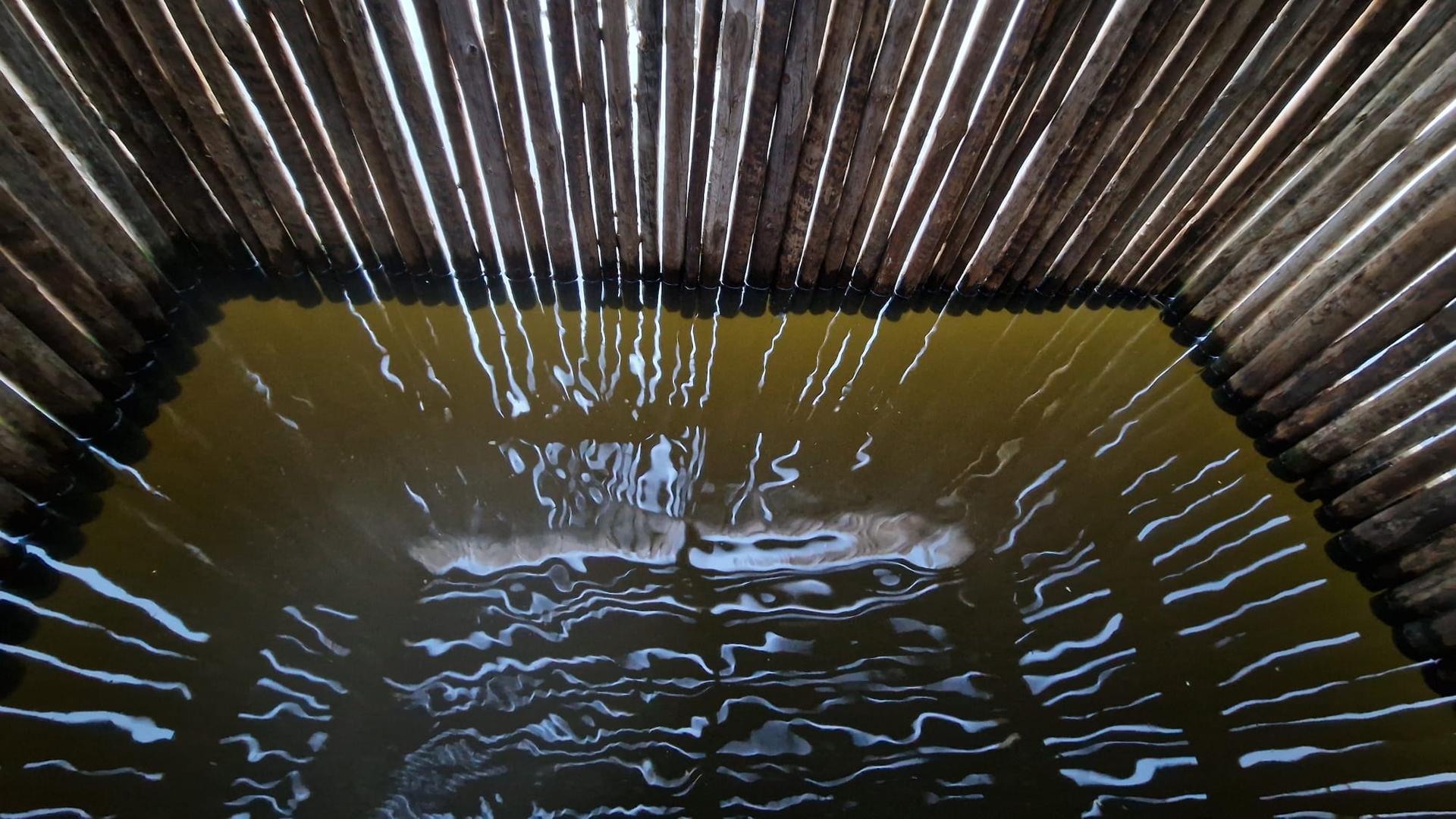 Diffuse Mirror - image 18