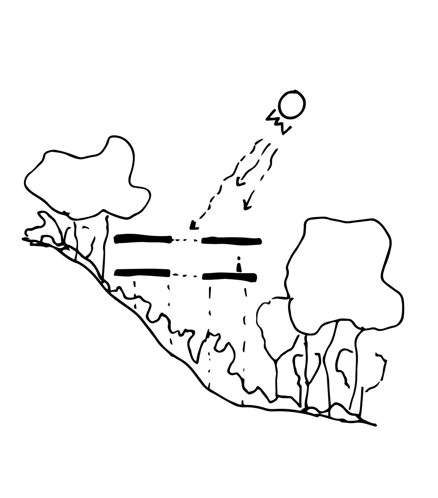 Sinfonía Verde - image 25