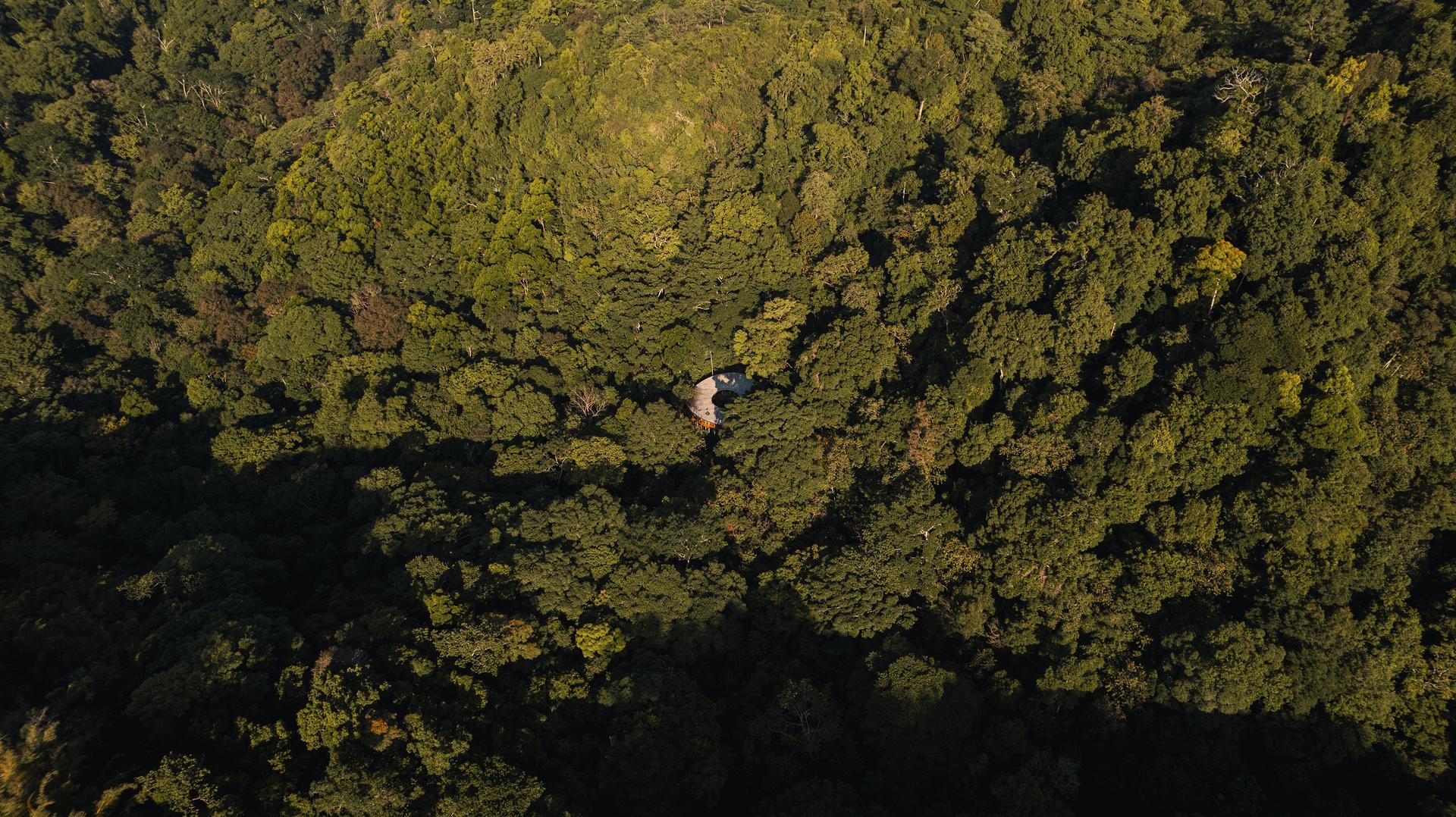 Sinfonía Verde - image 15