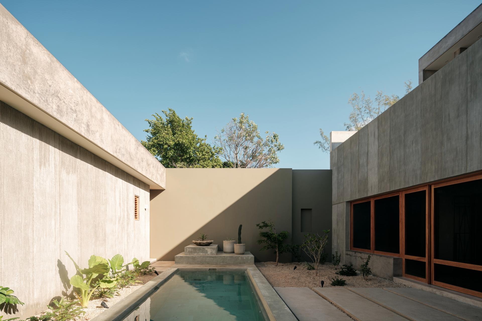 Dolores - image 6