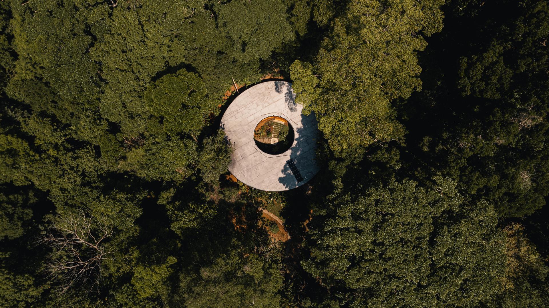 Sinfonía Verde - image 16