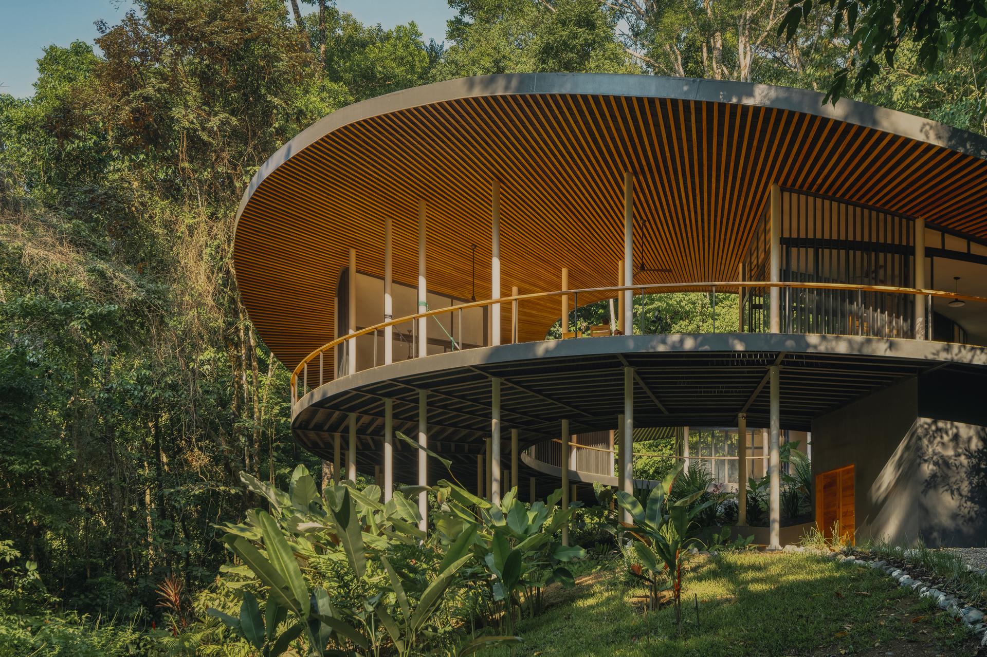 Sinfonía Verde - image 12