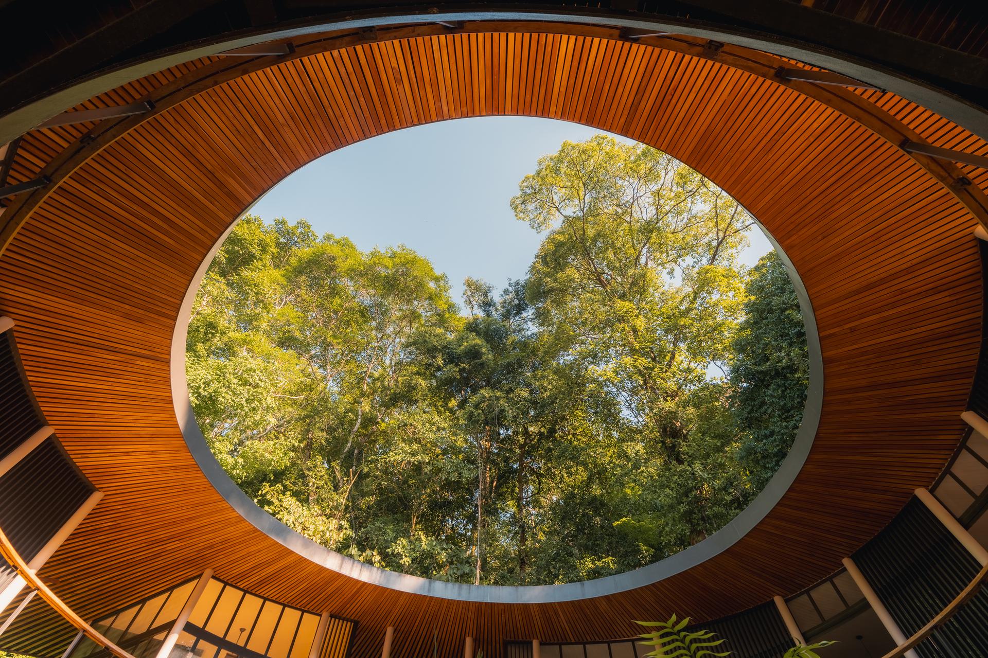 Sinfonía Verde - image 11