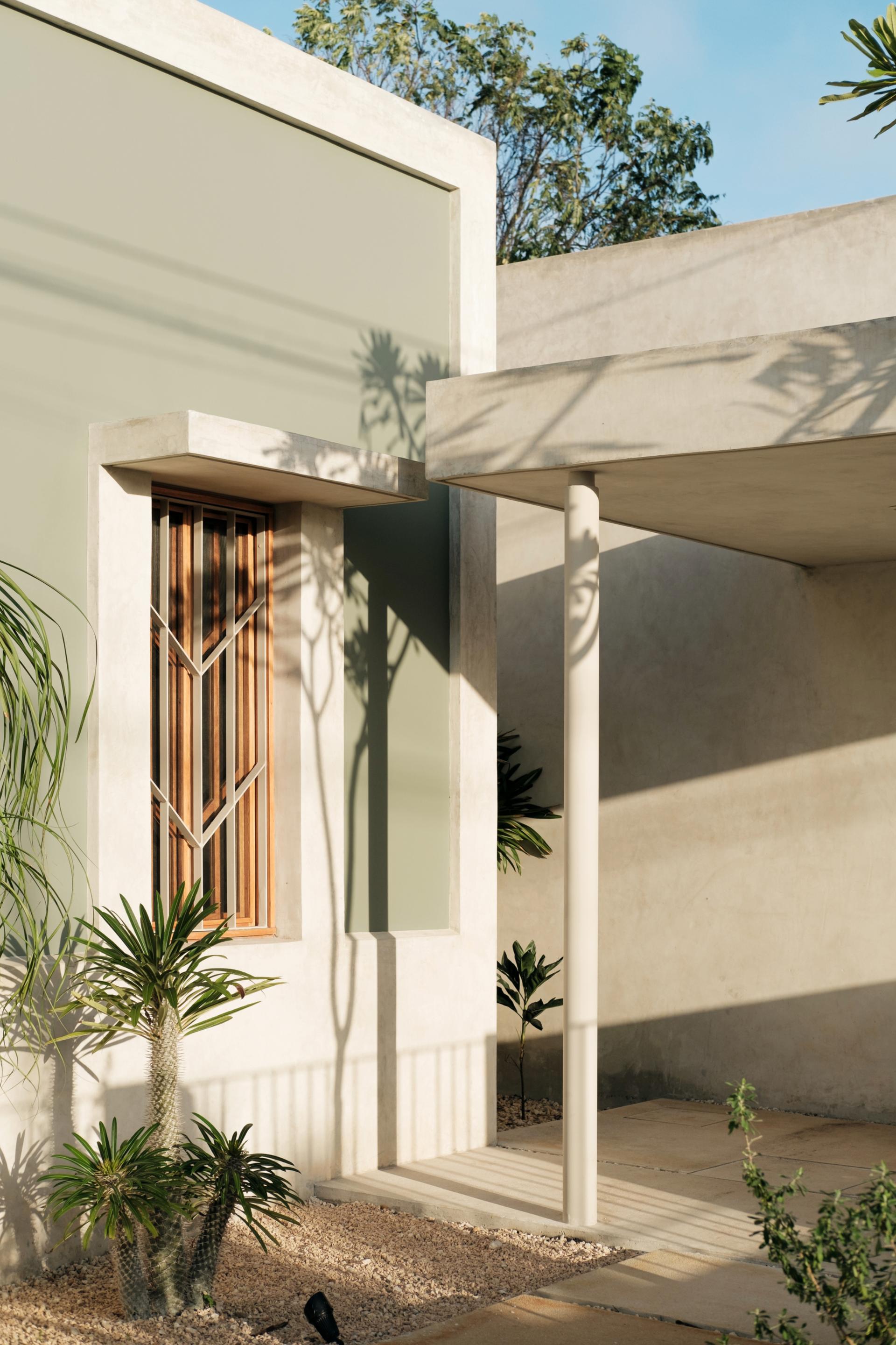 Dolores - image 4