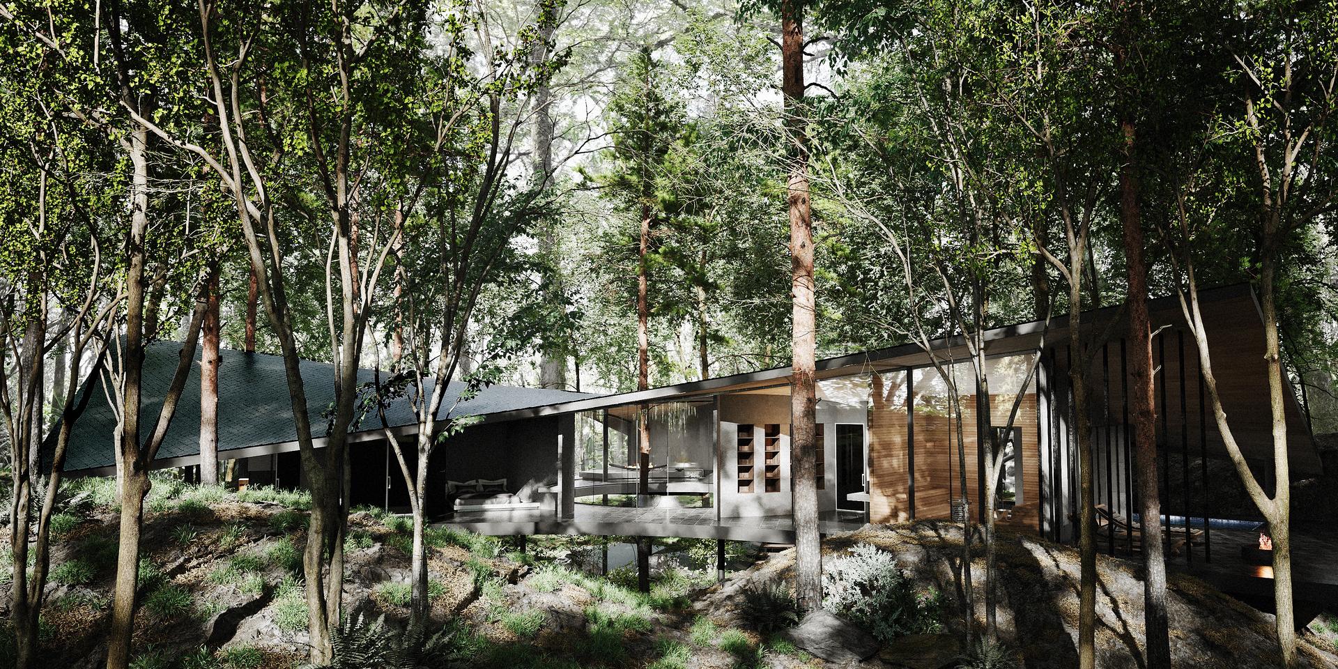 Forest Within