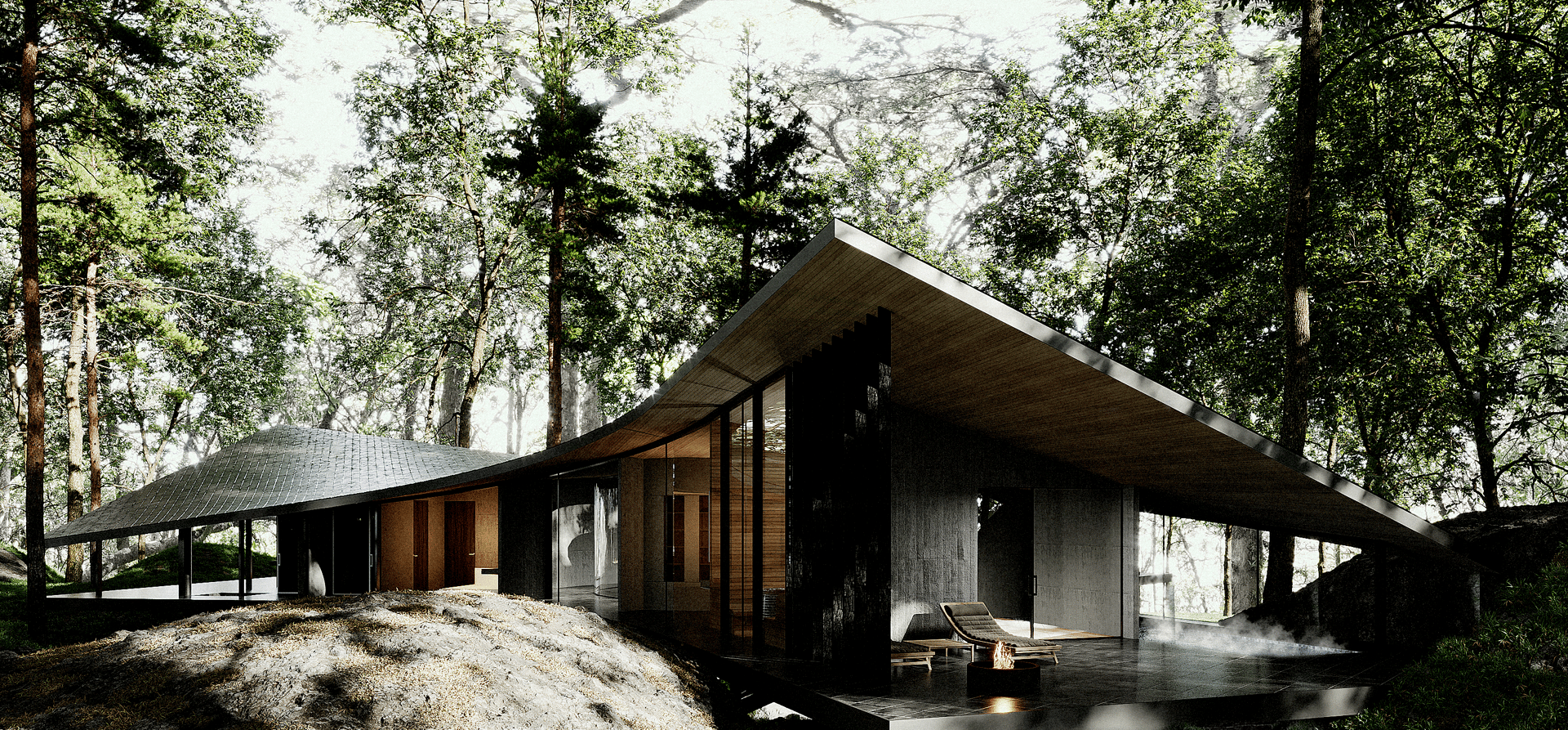 Forest Within - image 3