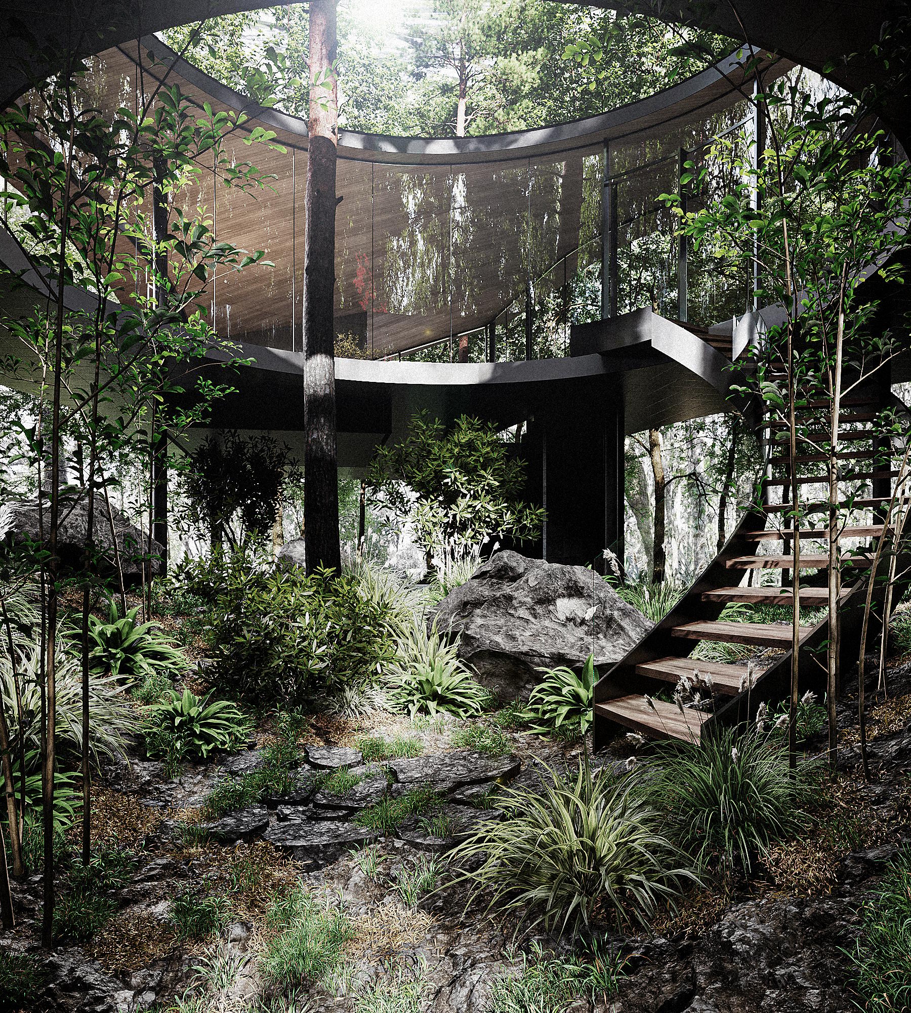 Forest Within - image 4